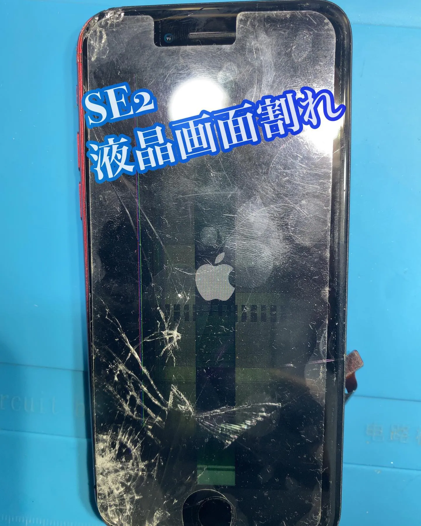 iPhone SE2（ SE第2世代）