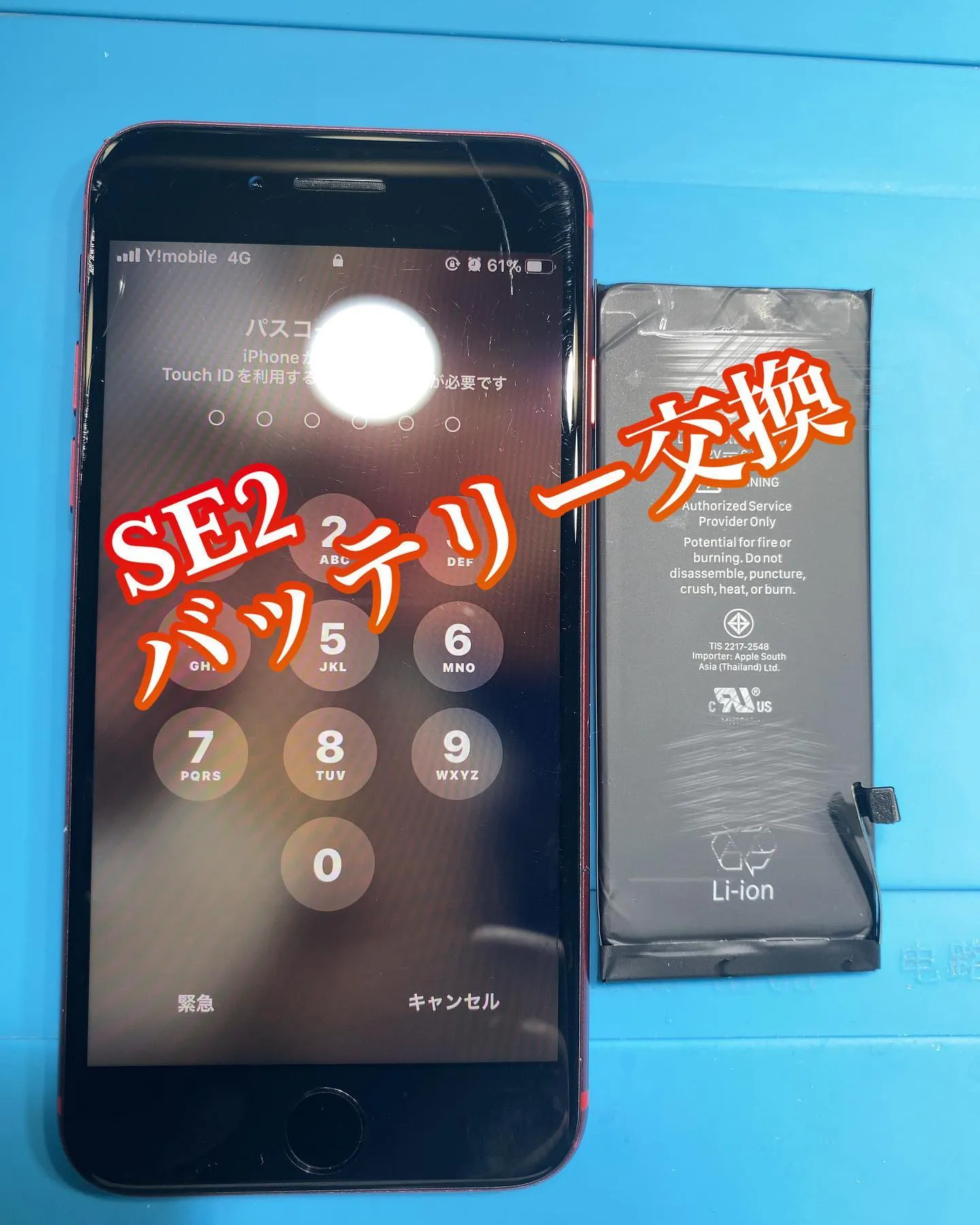 iPhone SE2（ SE第2世代）