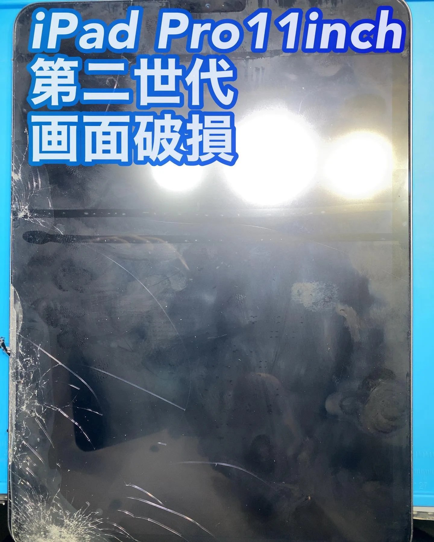 宮崎市名古屋市iPhone iPad修理phone Doct...