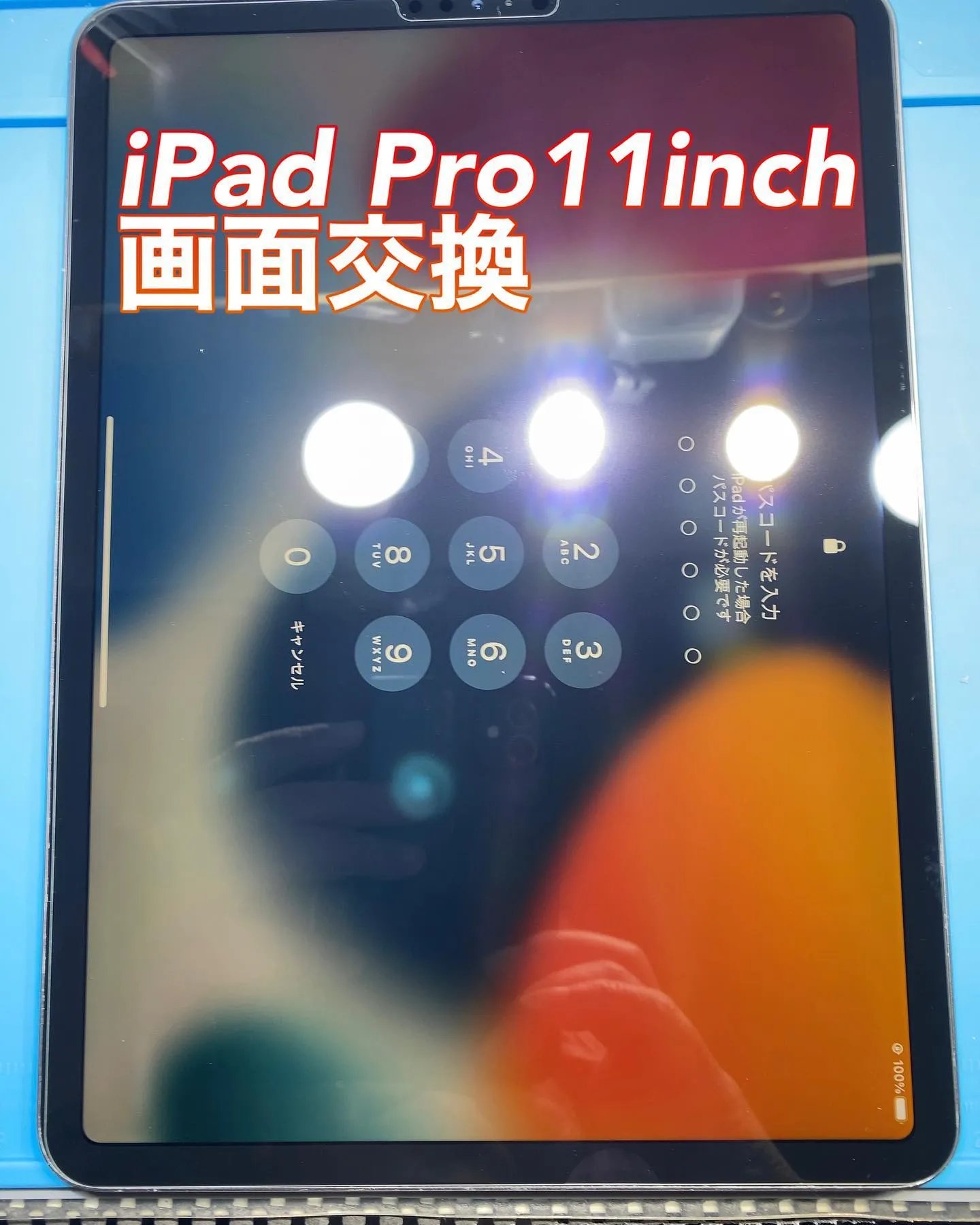 宮崎市名古屋市iPhone iPad修理phone Doct...