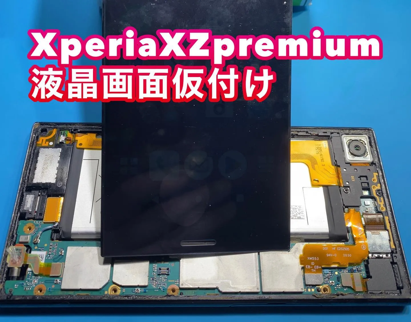 名古屋市宮崎市iPhone iPad修理PhoneDocto...