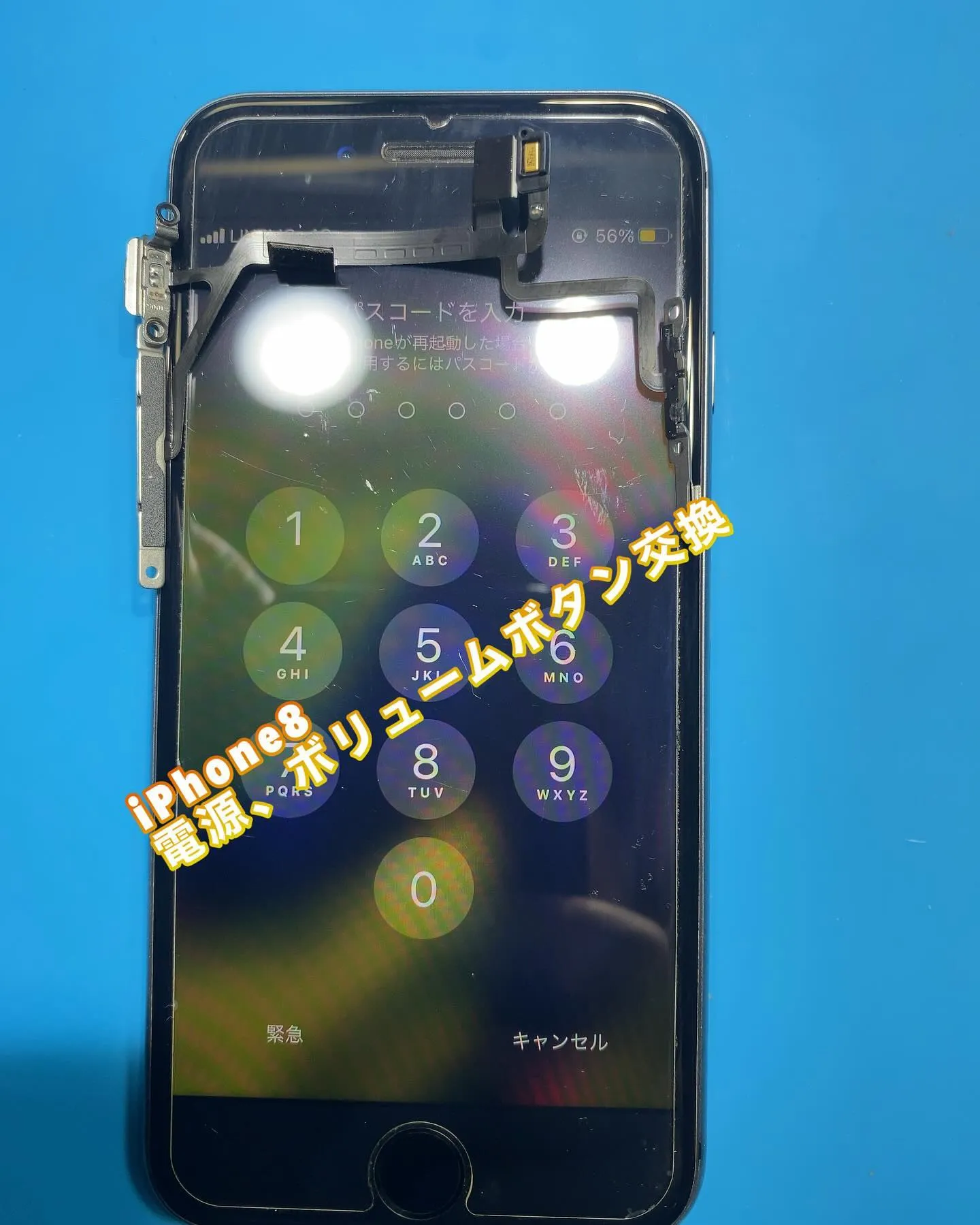 宮崎市名古屋市iPhone iPad修理phone doct...