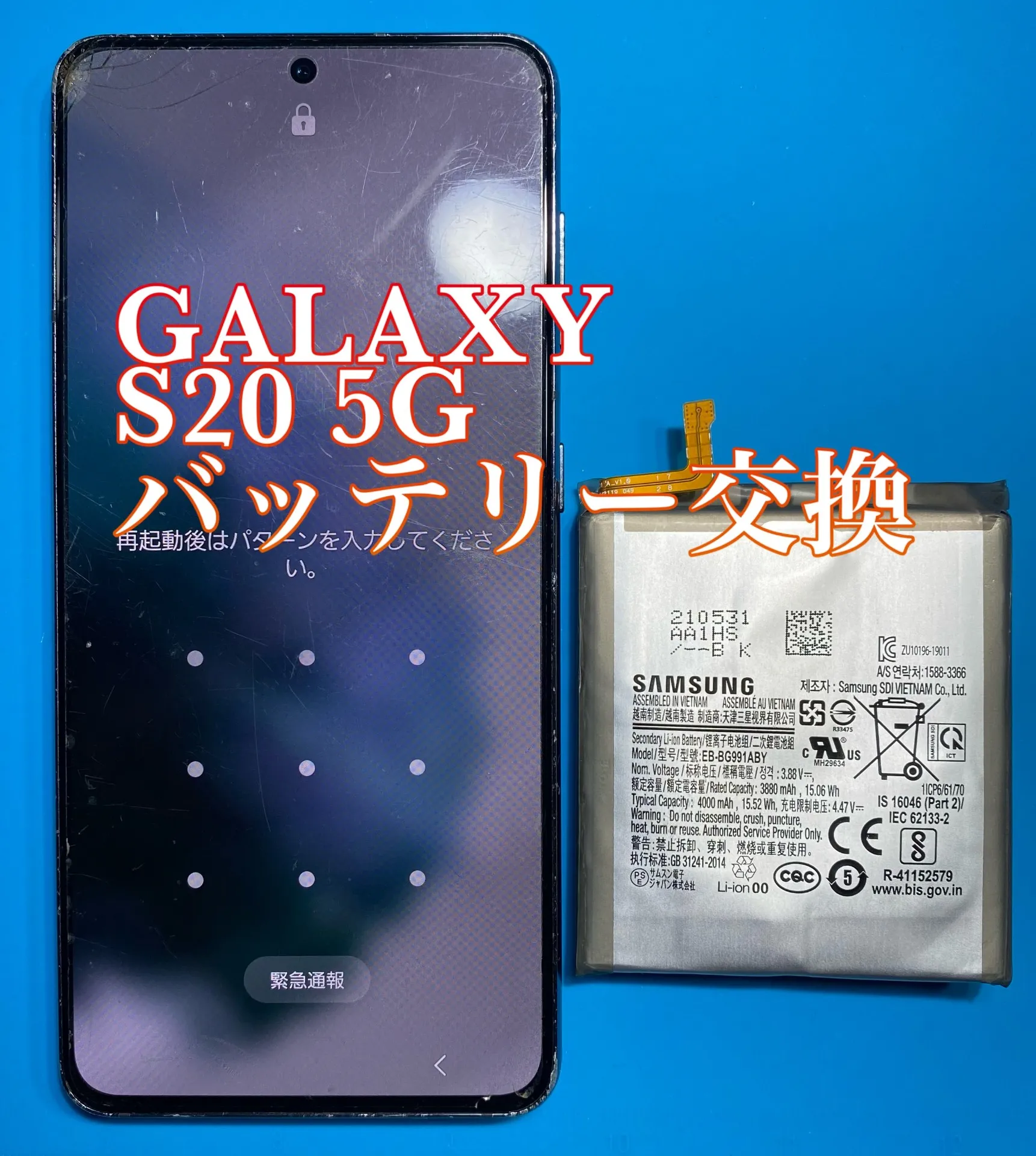 フォンドクターグループ　宮崎店、名古屋駅前店、愛知知立店、魚津店、敦賀店、大阪門真店