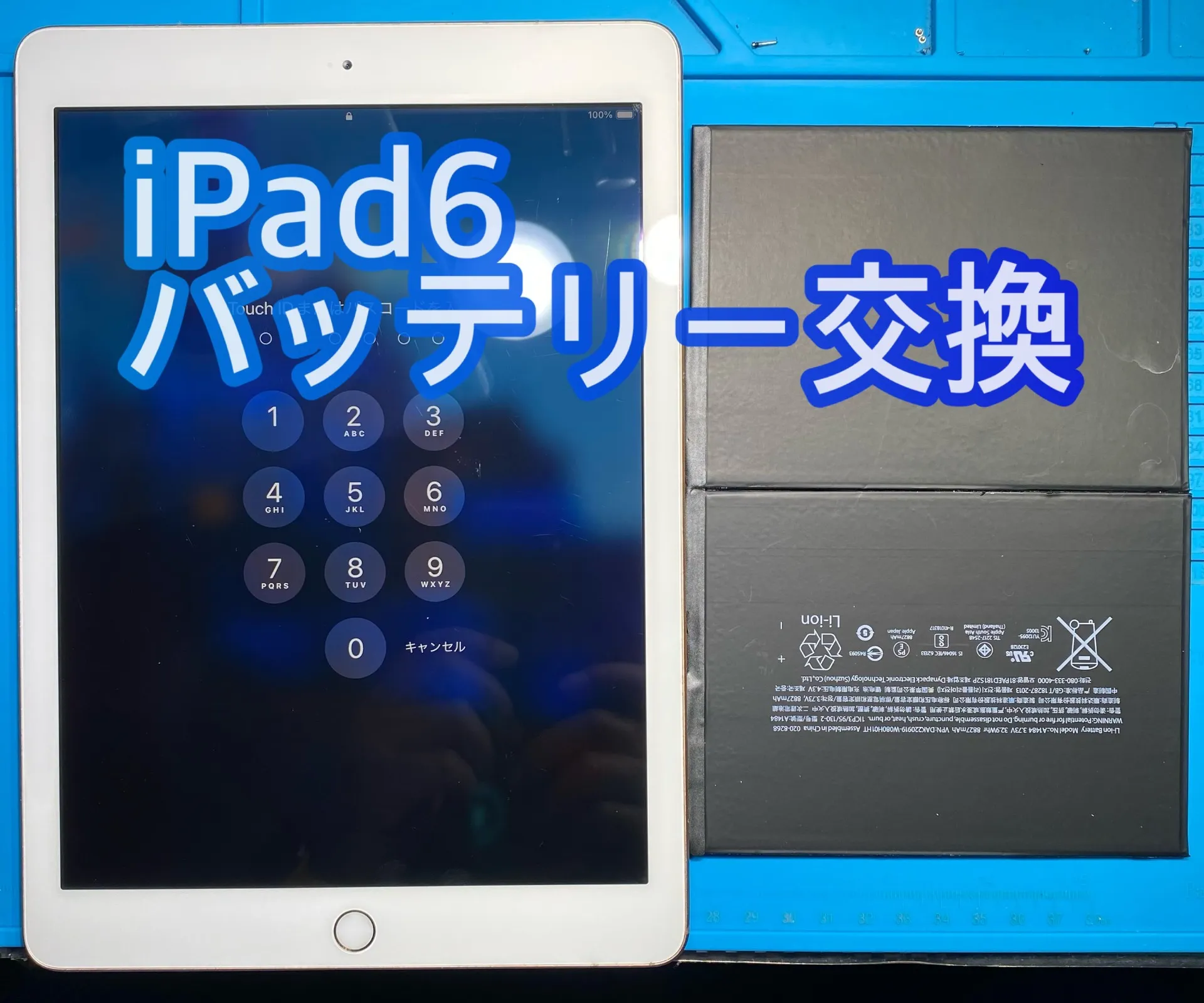 iPhone・iPad修理フォンドクターグループ　宮崎店、名古屋駅前店、愛知知立店、魚津店、敦賀店、大阪門真店、岐阜土岐店
