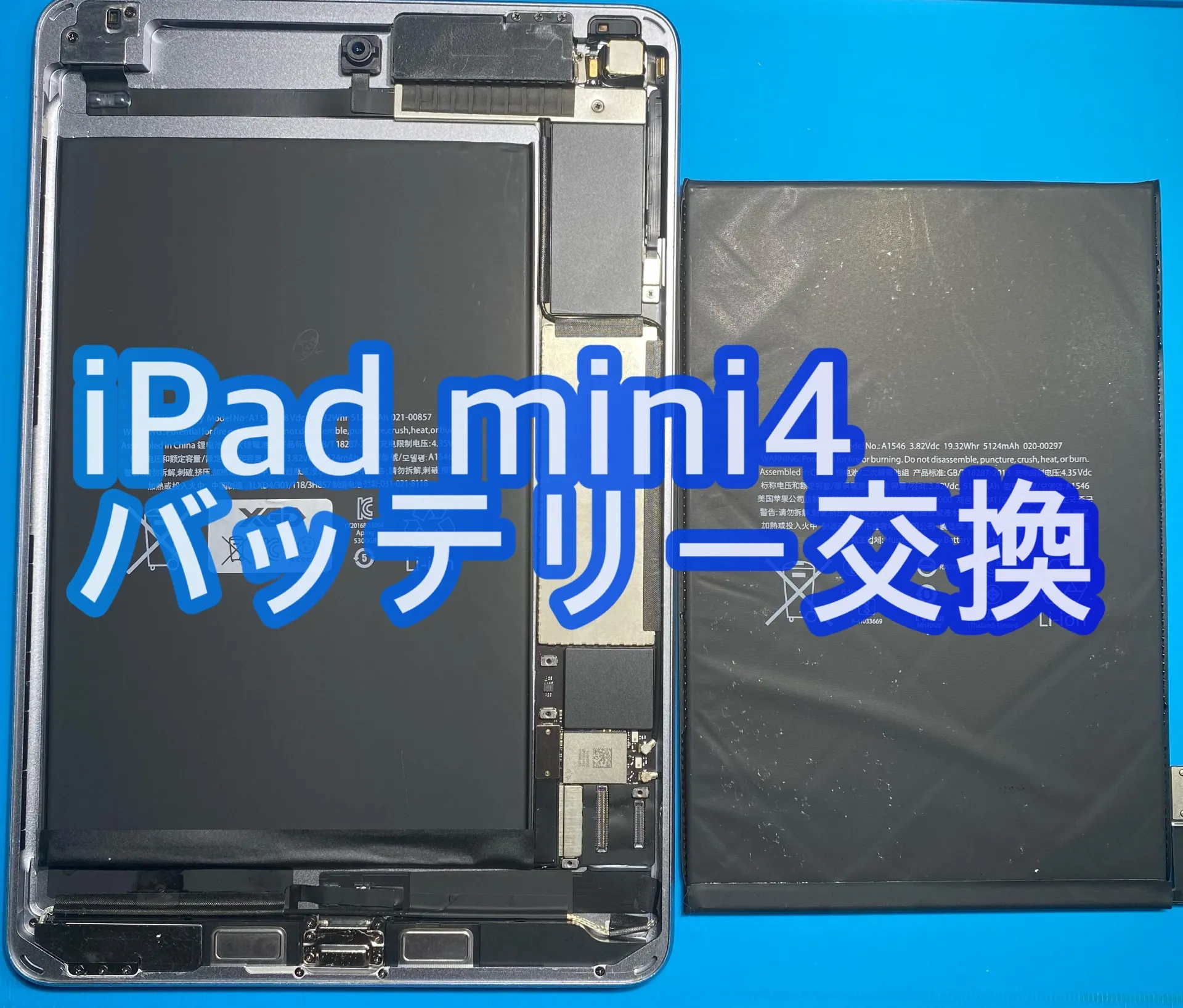 iPhone・iPad修理フォンドクターグループ　宮崎店、名古屋駅前店、愛知知立店、魚津店、敦賀店、大阪門真店、岐阜土岐店