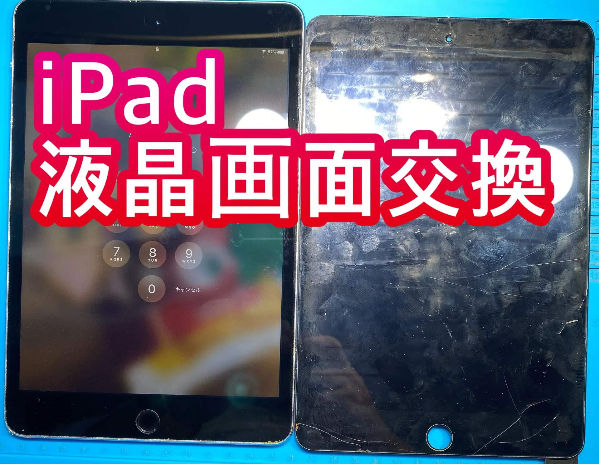 iPhone・iPad修理フォンドクターグループ　宮崎店、名古屋駅前店、愛知知立店、魚津店、敦賀店、大阪門真店、岐阜土岐店