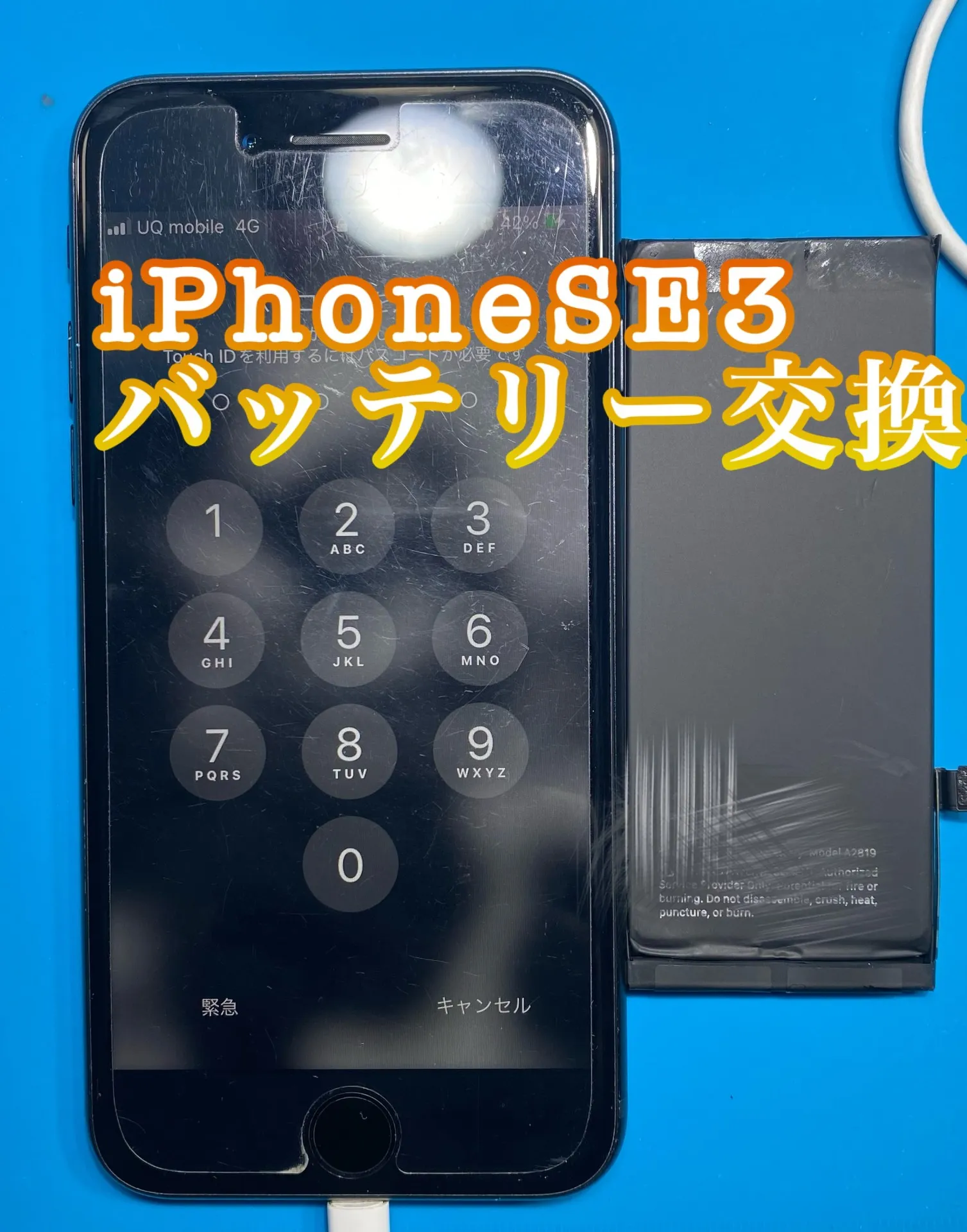 iPhone・iPad修理フォンドクターグループ　宮崎店、名古屋駅前店、愛知知立店、魚津店、敦賀店、大阪門真店、岐阜土岐店
