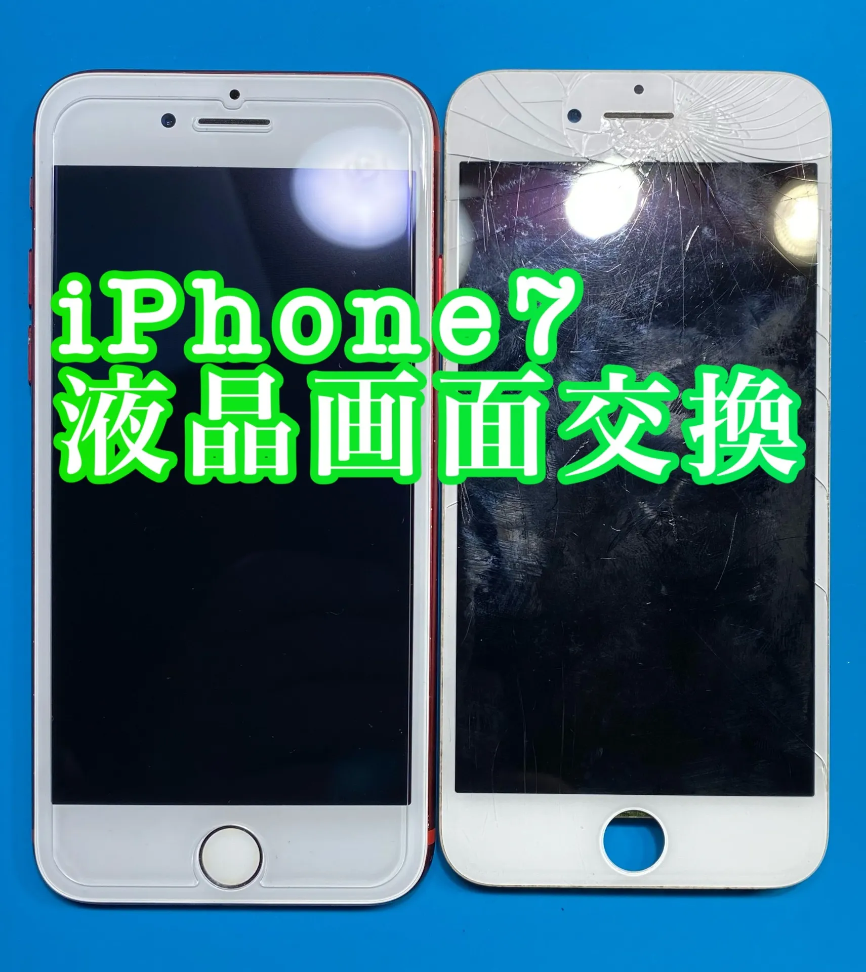 フォンドクターグループ　宮崎店、名古屋駅前店、愛知知立店、魚津店、敦賀店、大阪門真店、岐阜土岐店