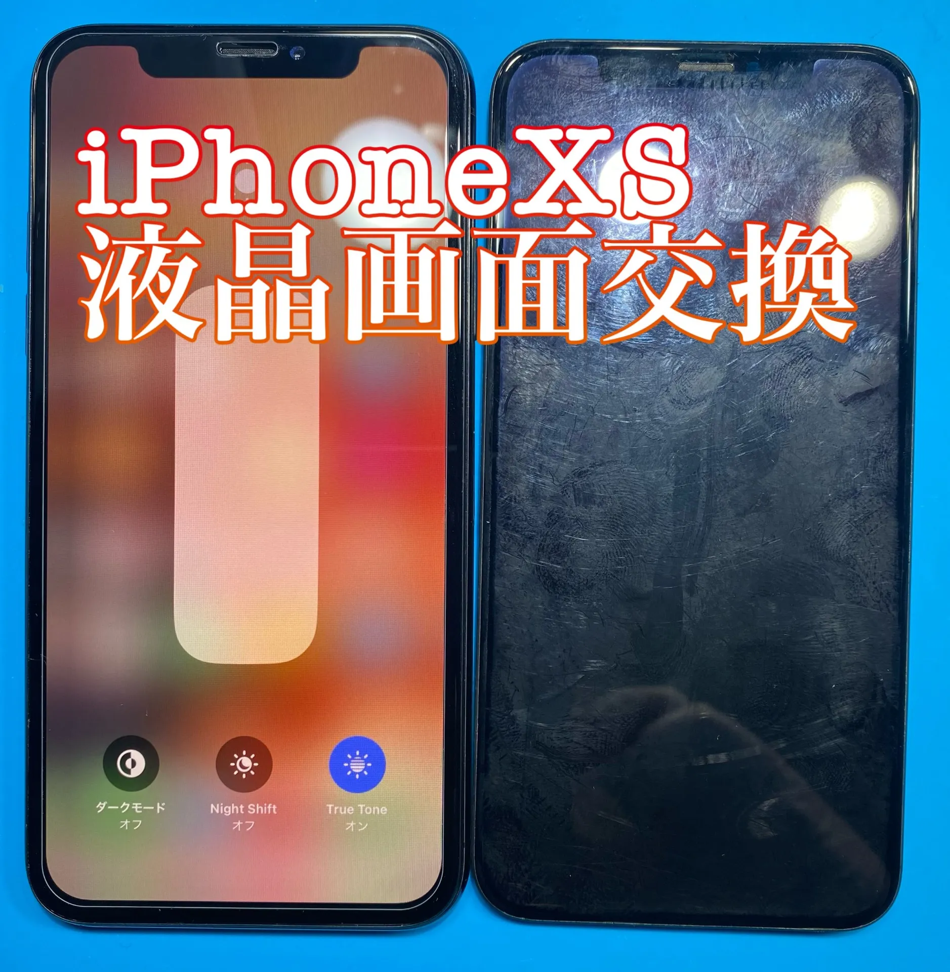 フォンドクターグループ　宮崎店、名古屋駅前店、愛知知立店、魚津店、敦賀店、大阪門真店、岐阜土岐店