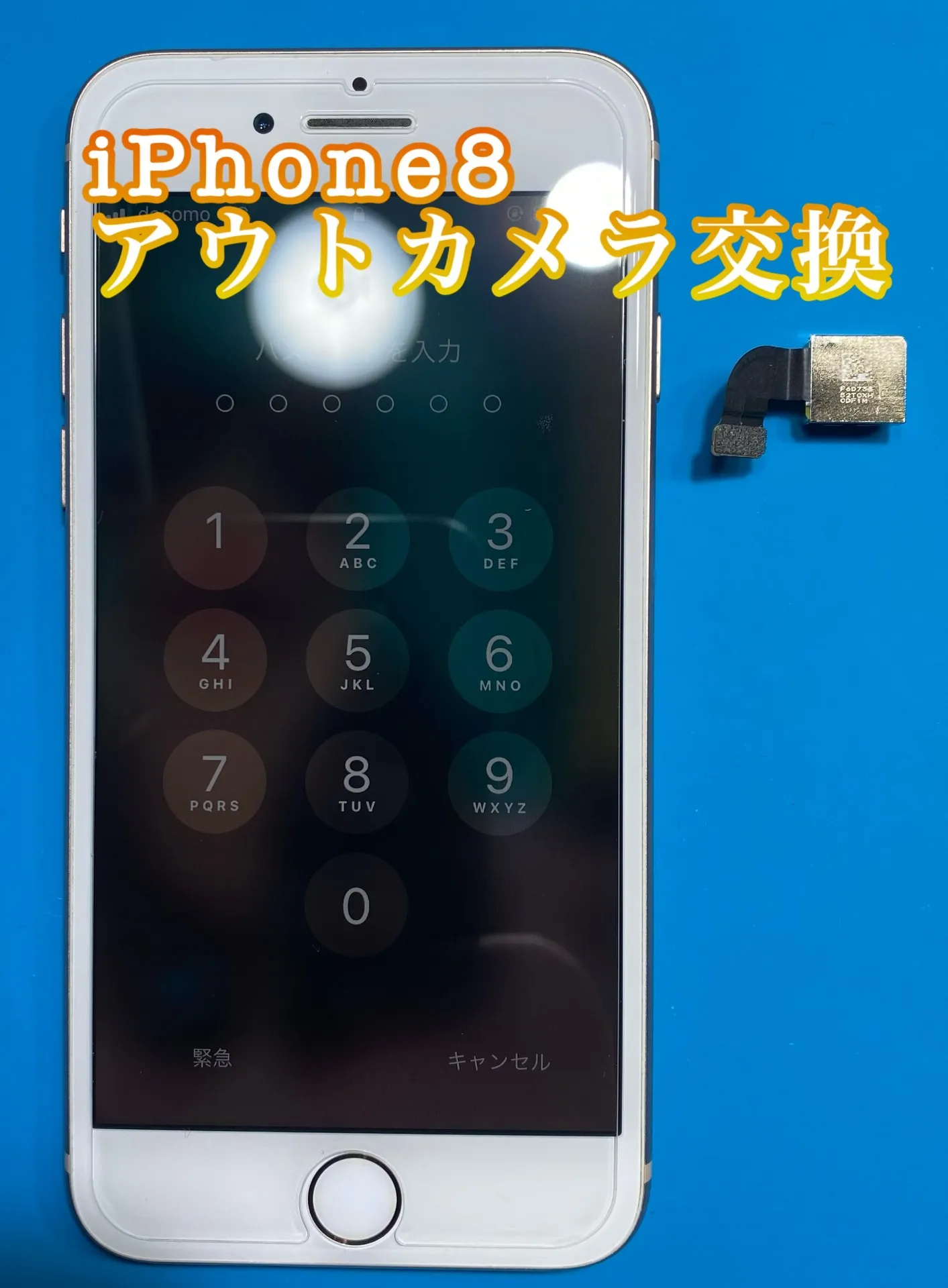 フォンドクターグループ　宮崎店、名古屋駅前店、愛知知立店、魚津店、敦賀店、大阪門真店、岐阜土岐店