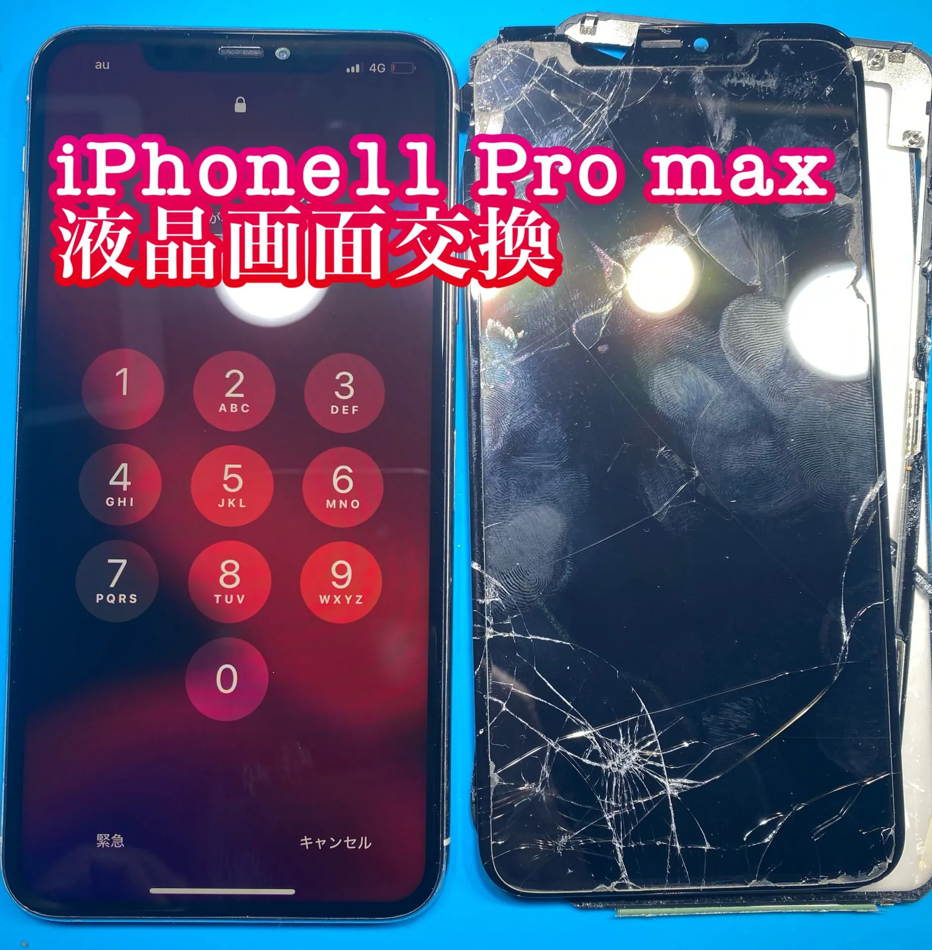 フォンドクターグループ　宮崎店、名古屋駅前店、愛知知立店、魚津店、敦賀店、大阪門真店、岐阜土岐店