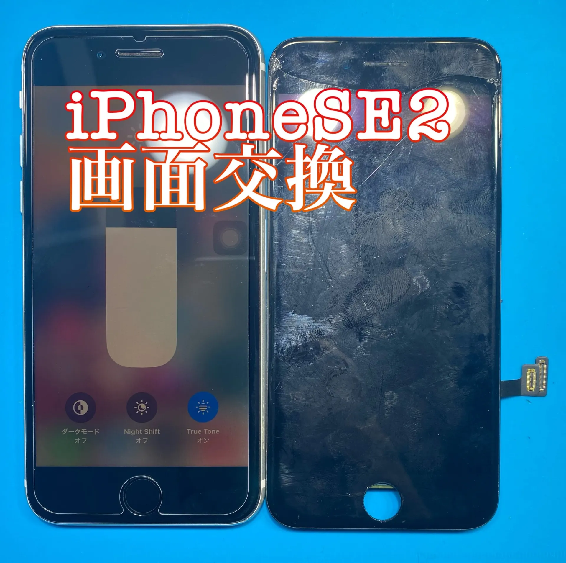 フォンドクターグループ　宮崎店、名古屋駅前店、愛知知立店、魚津店、敦賀店、大阪門真店、岐阜土岐店