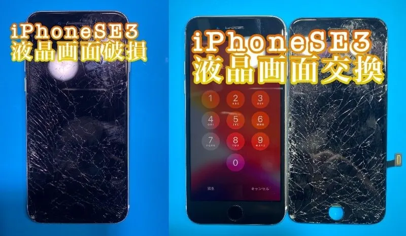 iPhone・iPad修理フォンドクターグループ　宮崎店、名古屋駅前店、愛知知立店、魚津店、敦賀店、大阪門真店、岐阜土岐店