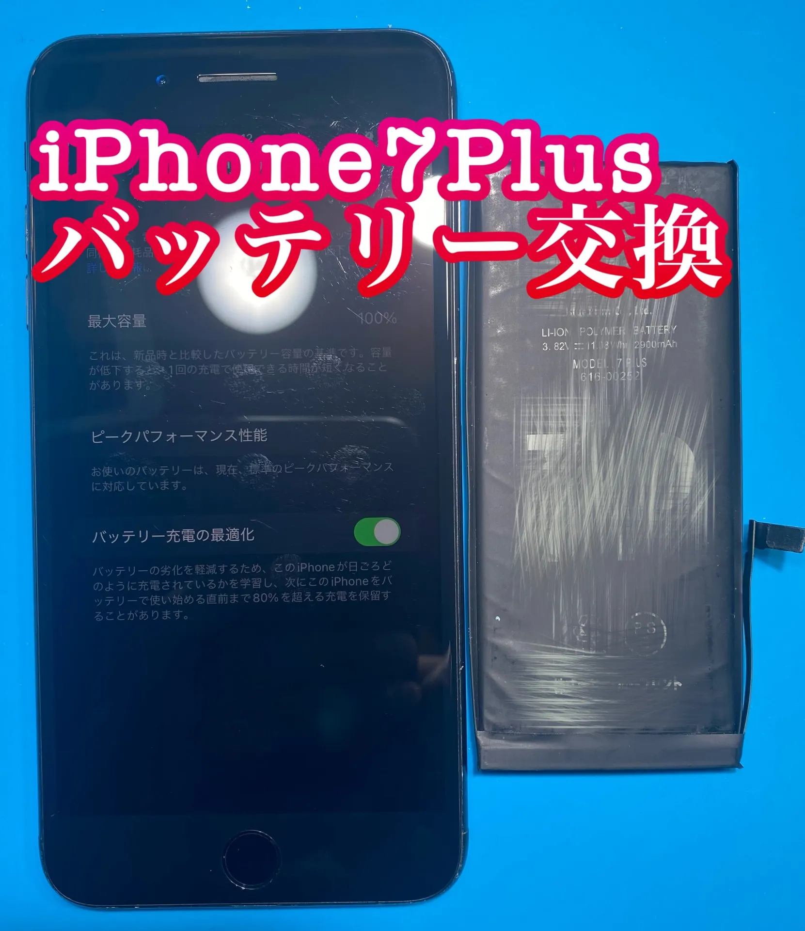 フォンドクターグループ　宮崎店、名古屋駅前店、愛知知立店、魚津店、敦賀店、大阪門真店、岐阜土岐店