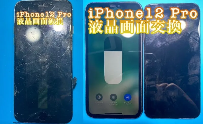 フォンドクターグループ　宮崎店、名古屋駅前店、愛知知立店、魚津店、敦賀店、大阪門真店、岐阜土岐店