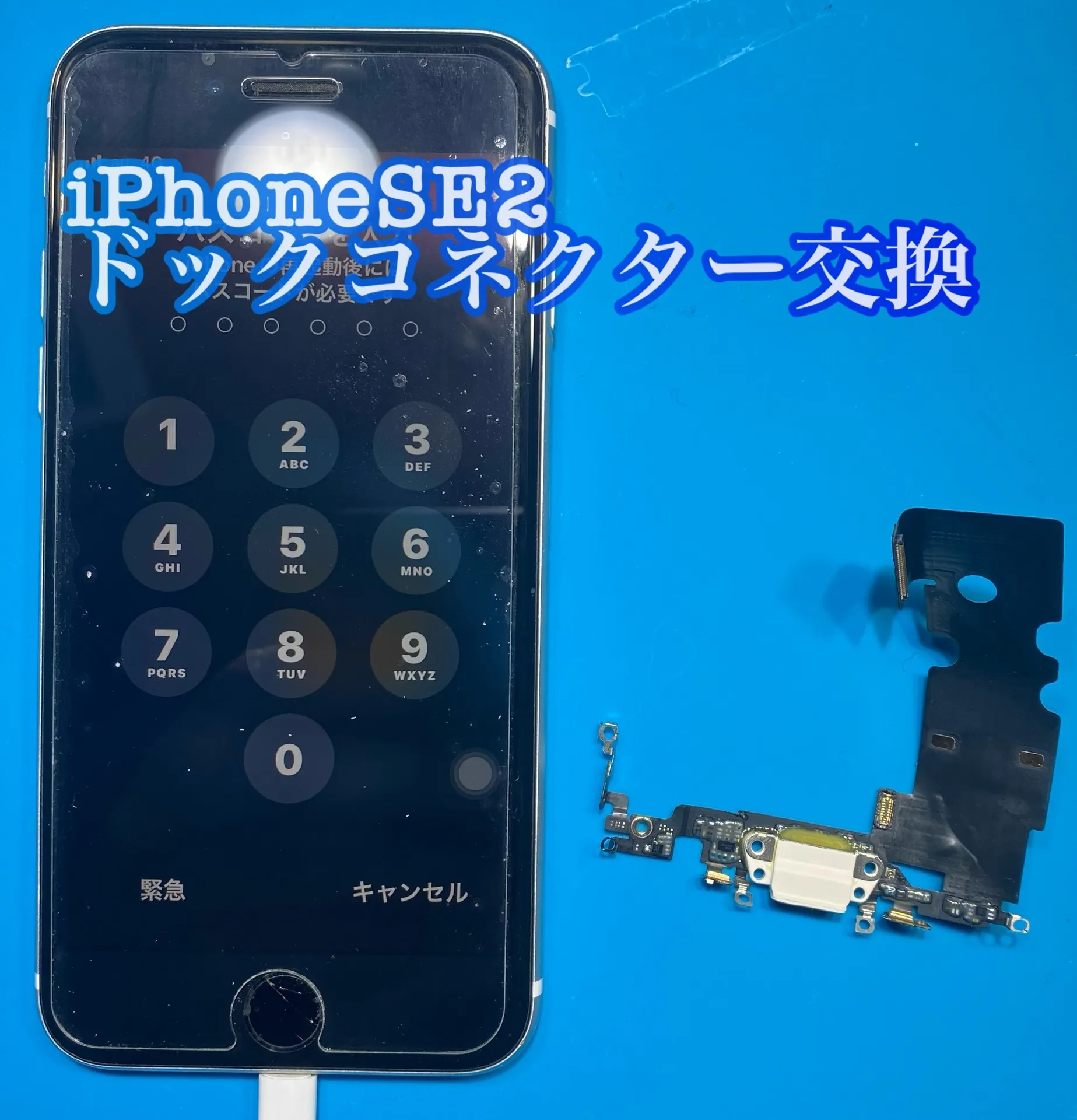 iPhone・iPad修理フォンドクターグループ　宮崎店、名古屋駅前店、愛知知立店、魚津店、敦賀店、大阪門真店、岐阜土岐店