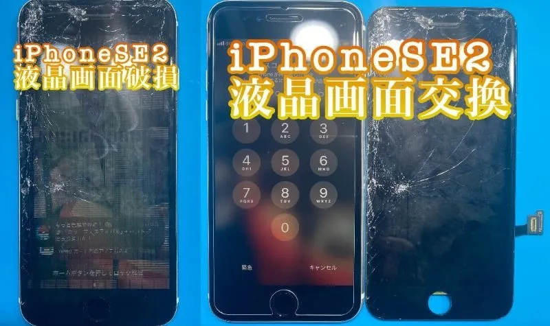 フォンドクターグループ　宮崎店、名古屋駅前店、愛知知立店、魚津店、敦賀店、大阪門真店、岐阜土岐店