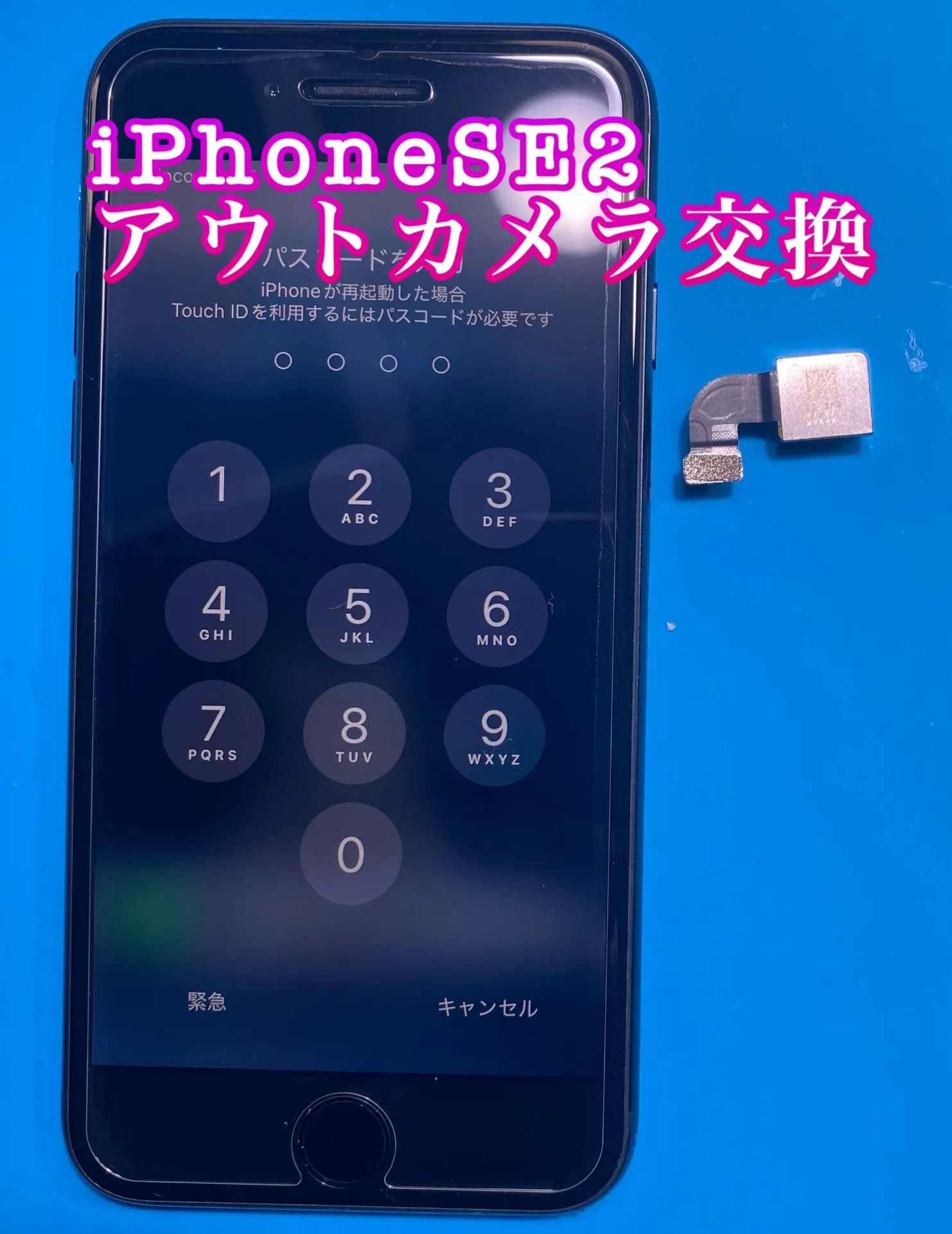 iPhone・iPad修理フォンドクターグループ　宮崎店、名古屋駅前店、愛知知立店、魚津店、敦賀店、大阪門真店、岐阜土岐店