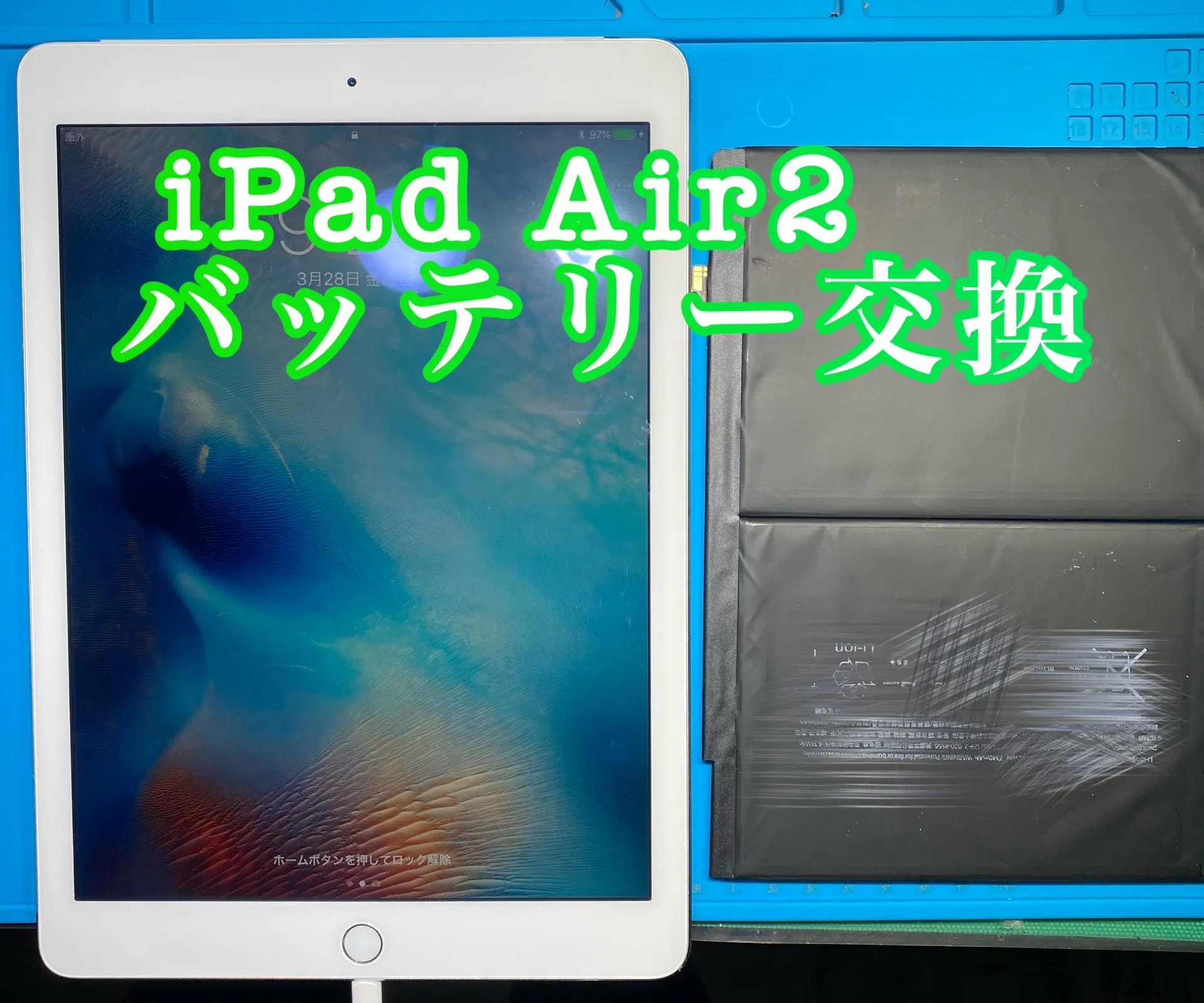 フォンドクターグループ　宮崎店、名古屋駅前店、愛知知立店、魚津店、敦賀店、大阪門真店、岐阜土岐店