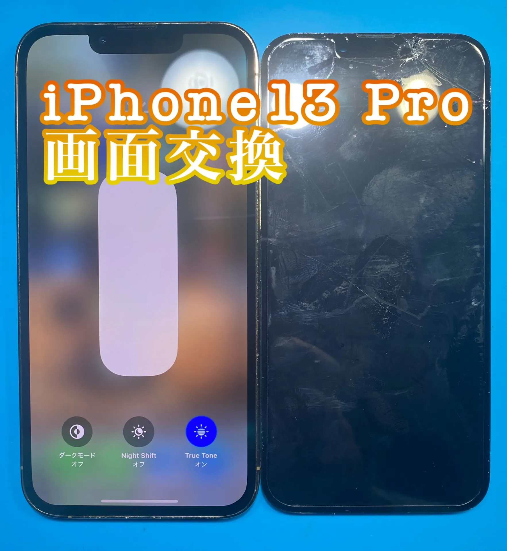 フォンドクターグループ　宮崎店、名古屋駅前店、愛知知立店、魚津店、敦賀店、大阪門真店、岐阜土岐店