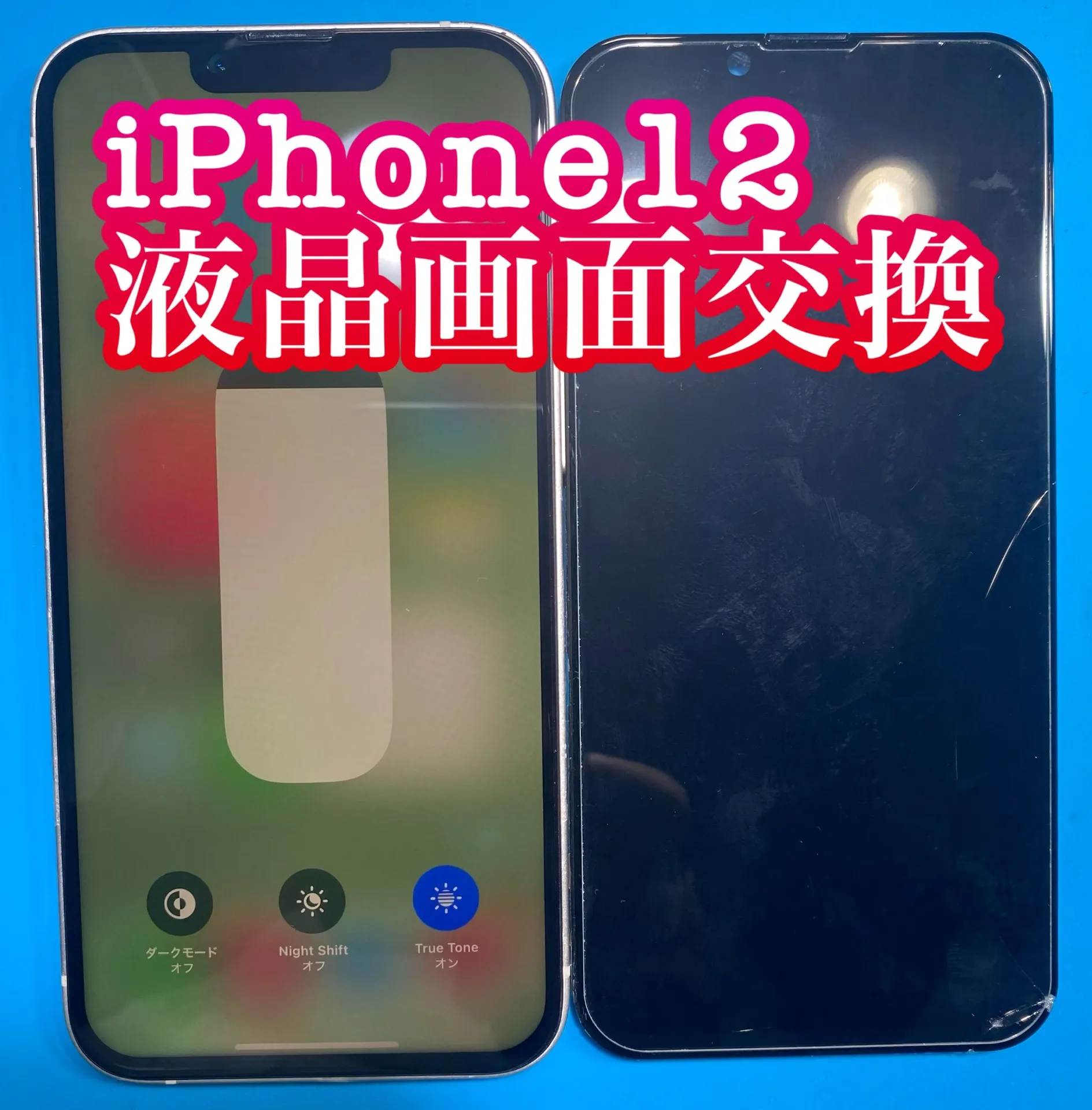 フォンドクターグループ　宮崎店、名古屋駅前店、愛知知立店、魚津店、敦賀店、大阪門真店、岐阜土岐店