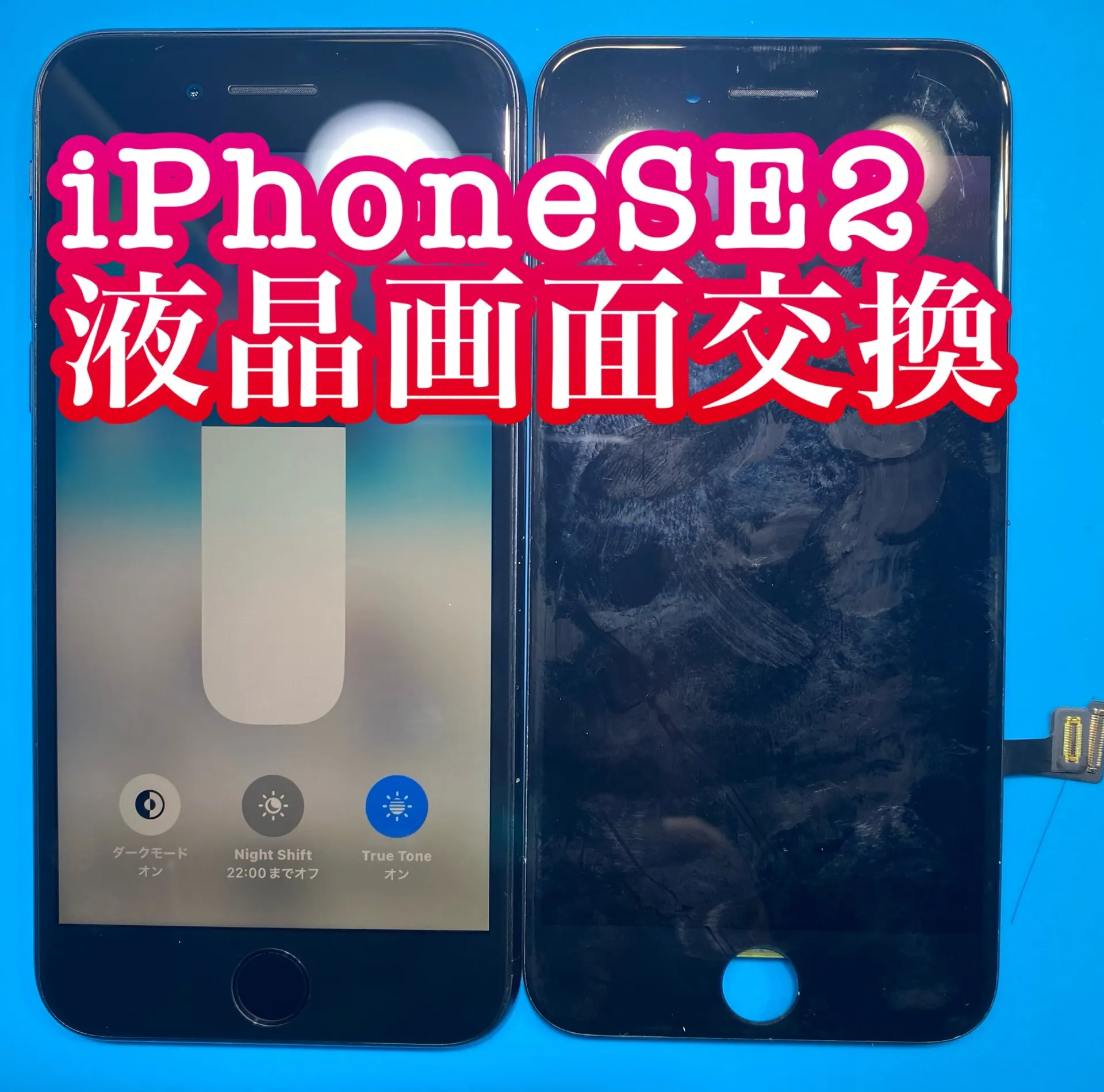 フォンドクターグループ　宮崎店、名古屋駅前店、愛知知立店、魚津店、敦賀店、大阪門真店、岐阜土岐店