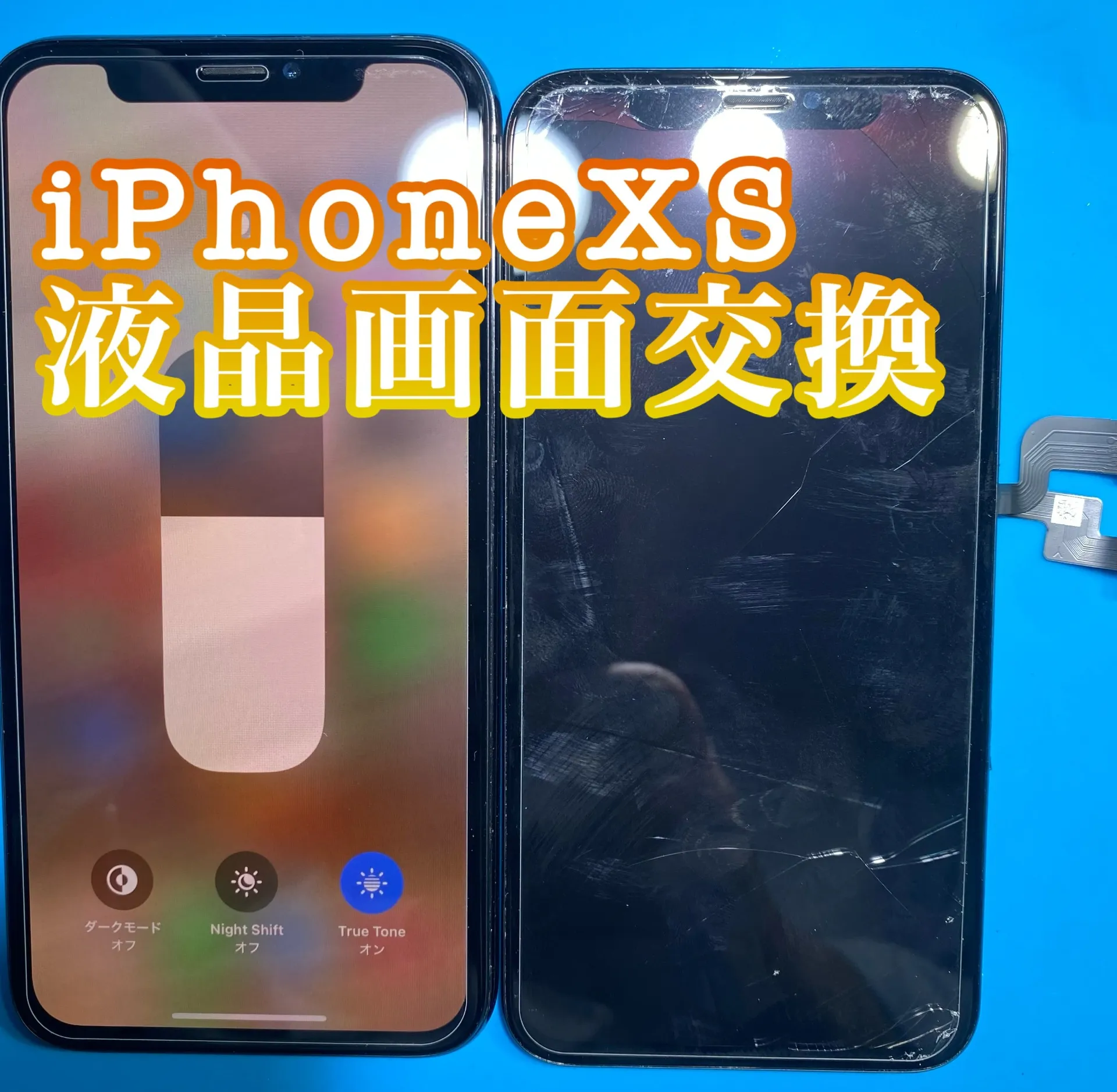 フォンドクターグループ　宮崎店、名古屋駅前店、愛知知立店、魚津店、敦賀店、大阪門真店、岐阜土岐店