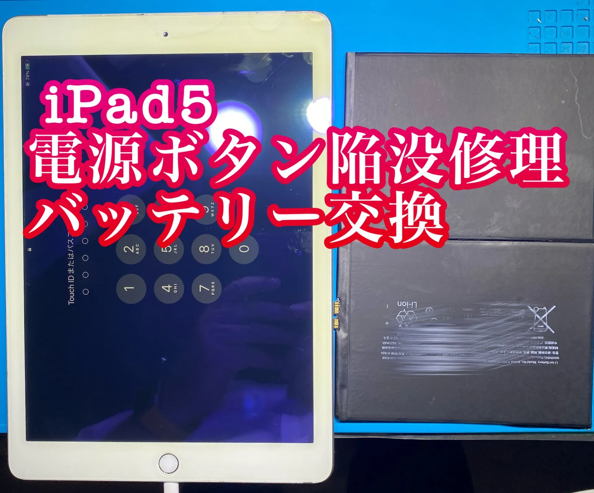 iPhone・iPad修理フォンドクターグループ　宮崎店、名古屋駅前店、愛知知立店、魚津店、敦賀店、大阪門真店、岐阜土岐店