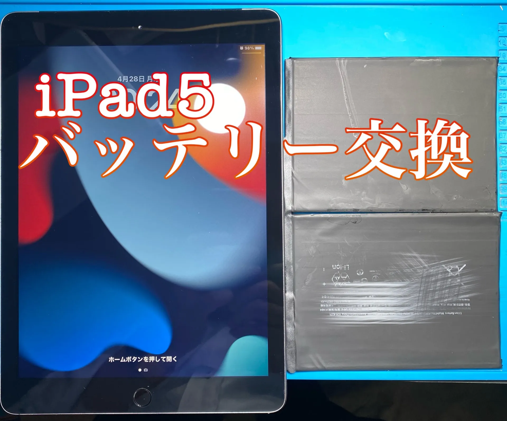 フォンドクターグループ　宮崎店、名古屋駅前店、愛知知立店、魚津店、敦賀店、大阪門真店、岐阜土岐店