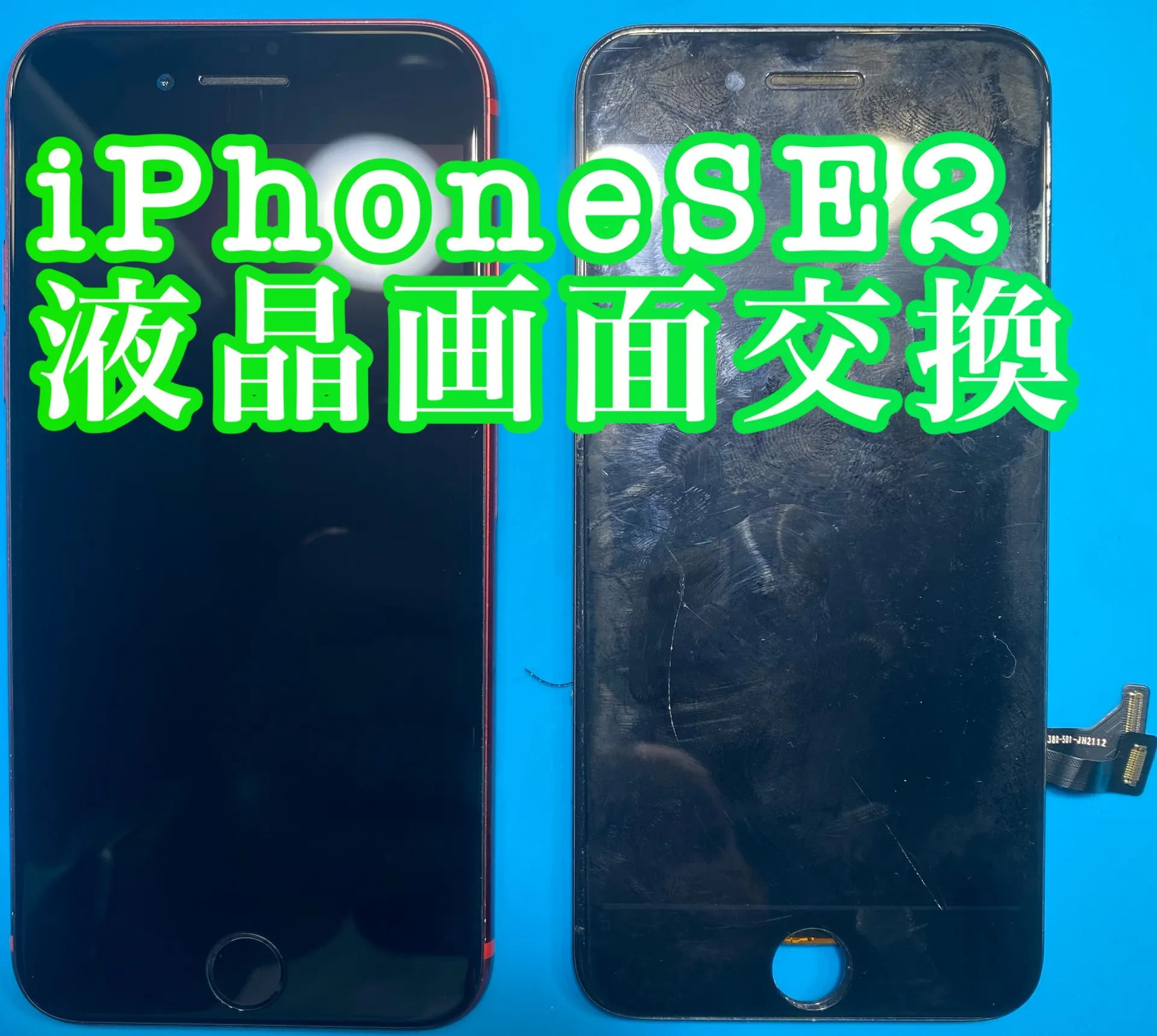 フォンドクターグループ　宮崎店、名古屋駅前店、愛知知立店、魚津店、敦賀店、大阪門真店、岐阜土岐店