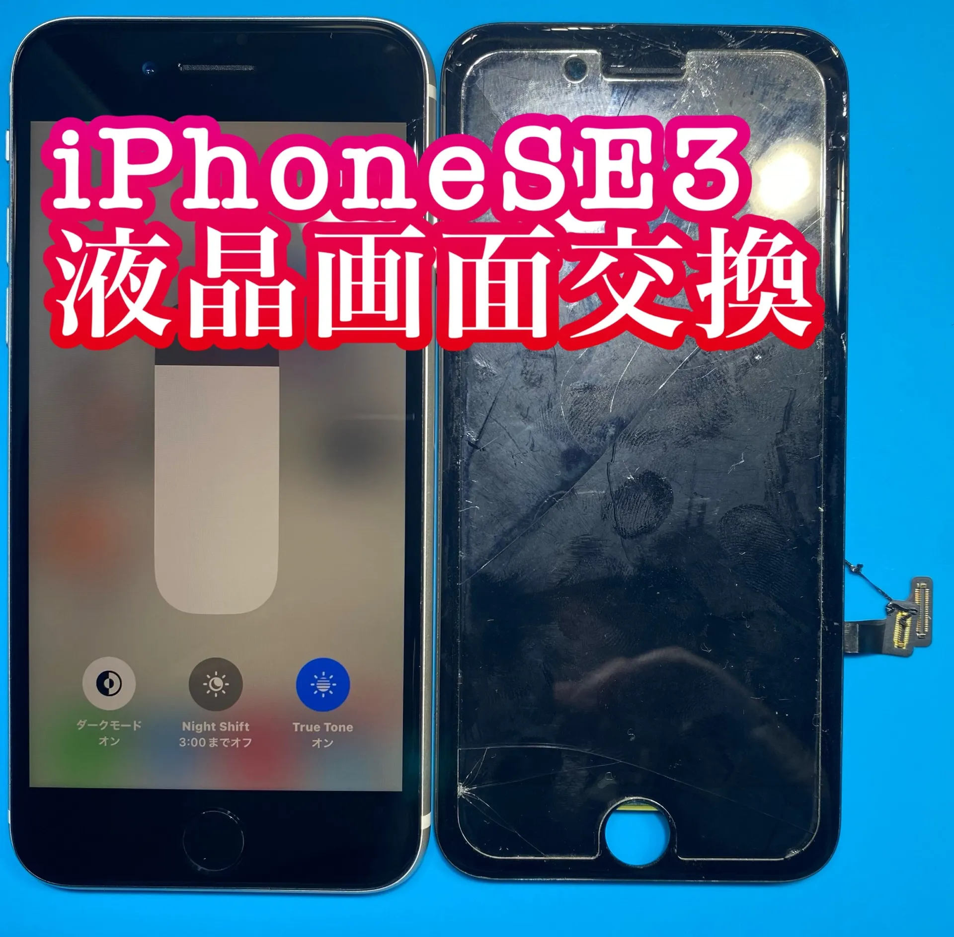 フォンドクターグループ　宮崎店、名古屋駅前店、愛知知立店、魚津店、敦賀店、大阪門真店、岐阜土岐店