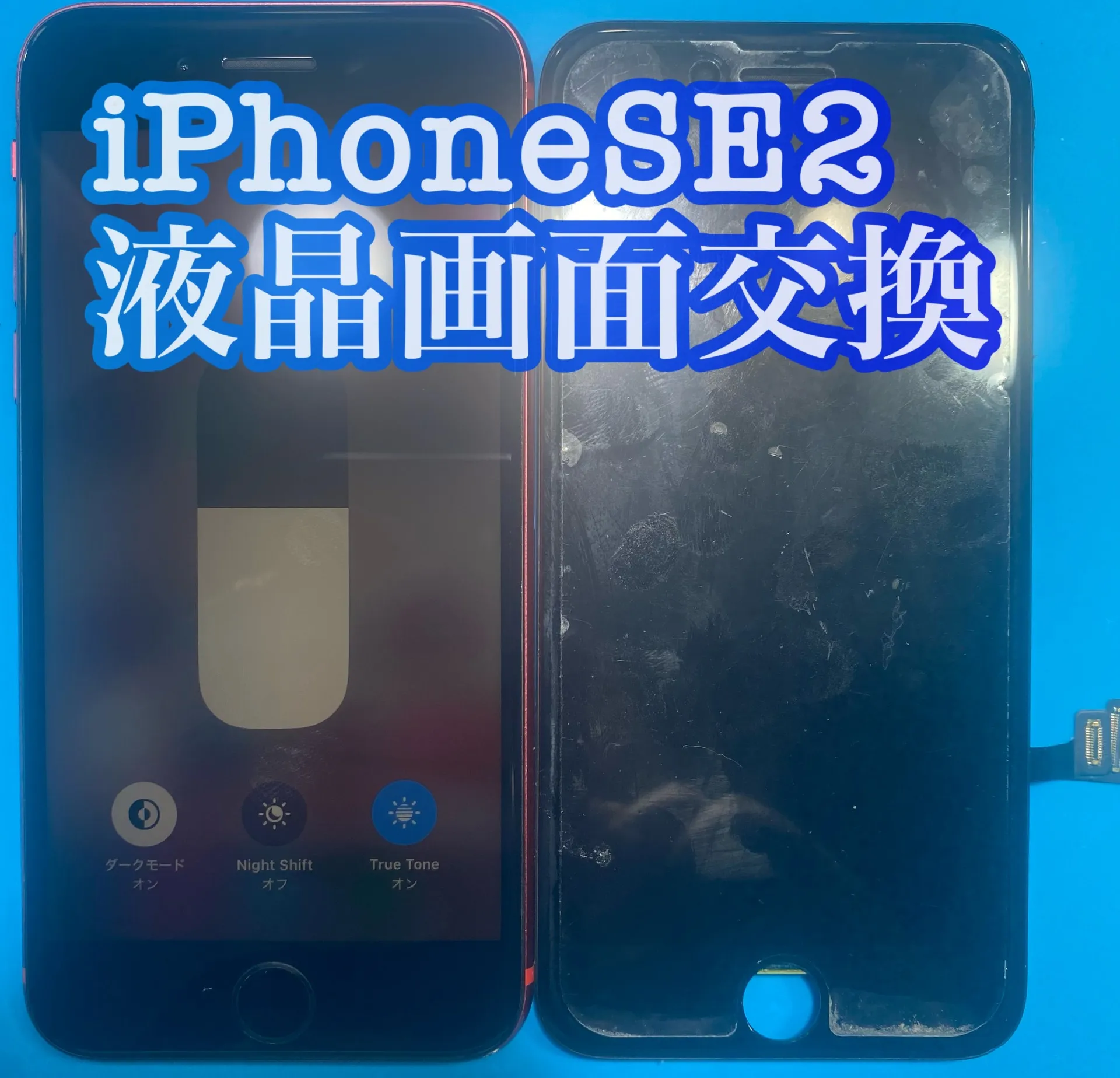 フォンドクターグループ　宮崎店、名古屋駅前店、愛知知立店、魚津店、敦賀店、大阪門真店、岐阜土岐店