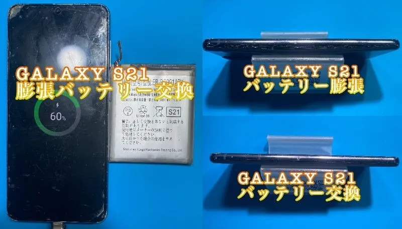 フォンドクターグループ　宮崎店、名古屋駅前店、愛知知立店、魚津店、敦賀店、大阪門真店、岐阜土岐店