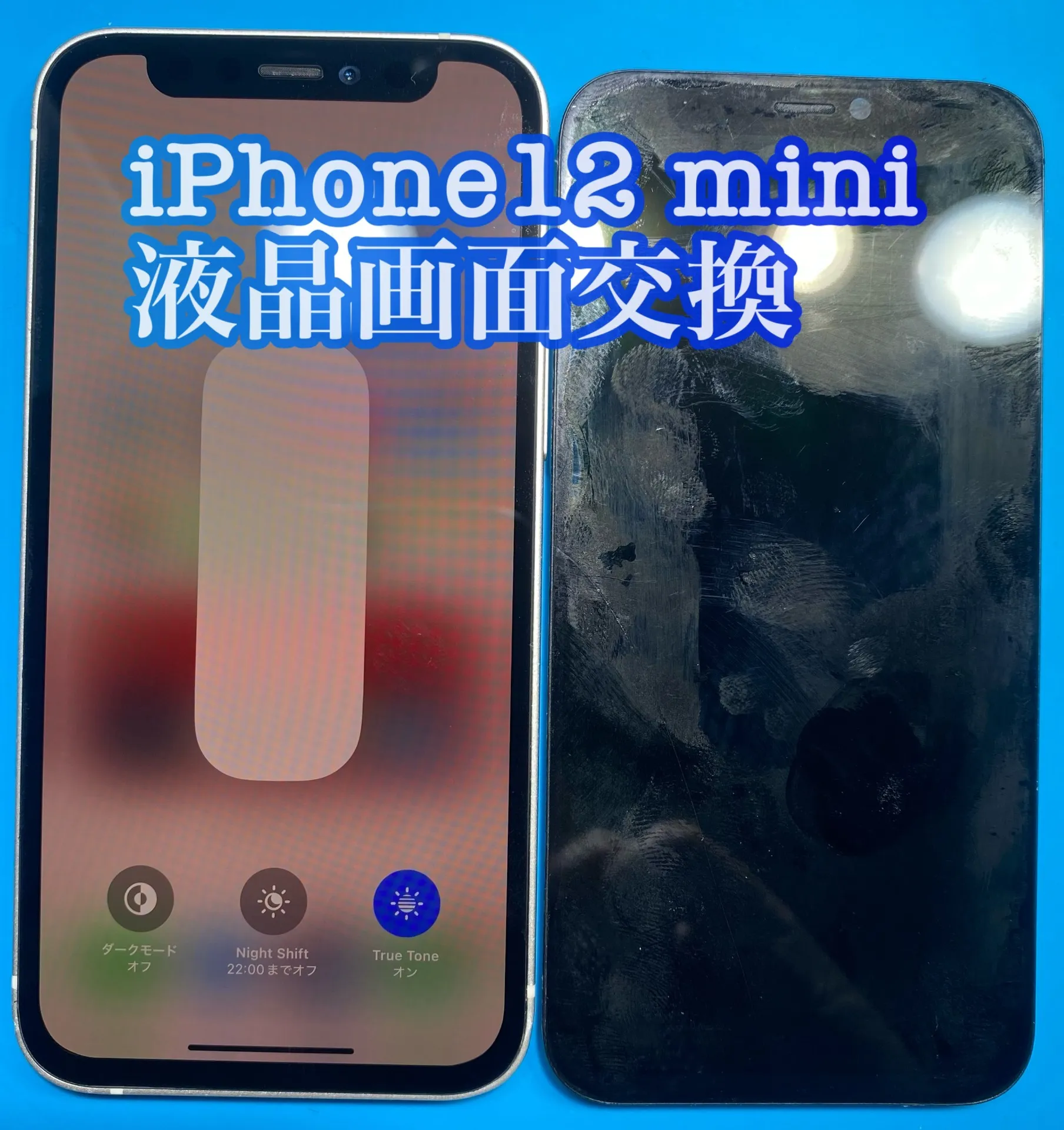 フォンドクターグループ　宮崎店、名古屋駅前店、愛知知立店、魚津店、敦賀店、大阪門真店、岐阜土岐店