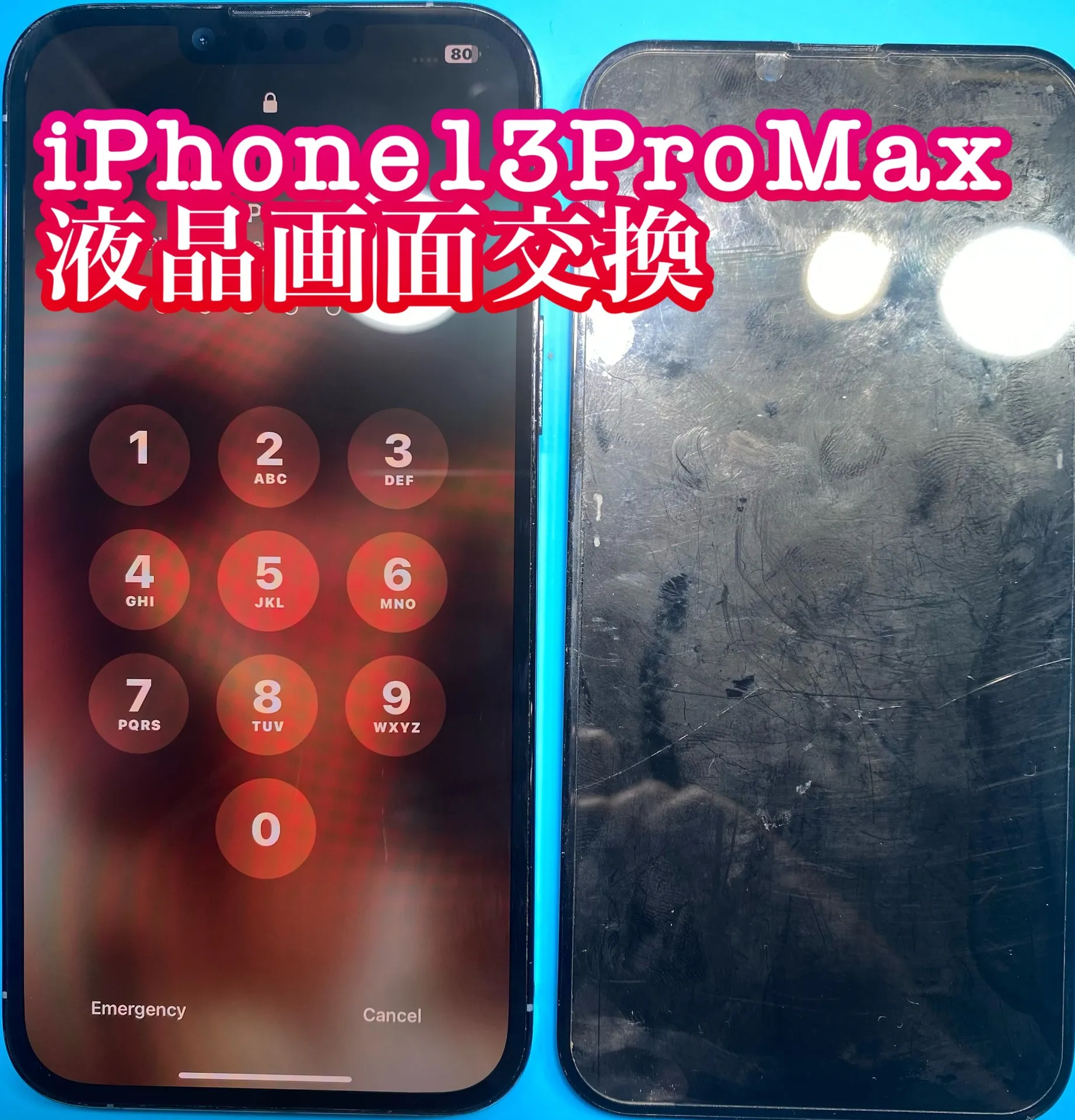 iPhone・iPad修理フォンドクターグループ　宮崎店、名古屋駅前店、愛知知立店、魚津店、敦賀店、大阪門真店、岐阜土岐店