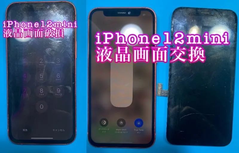 フォンドクターグループ　宮崎店、名古屋駅前店、愛知知立店、魚津店、敦賀店、大阪門真店、岐阜土岐店