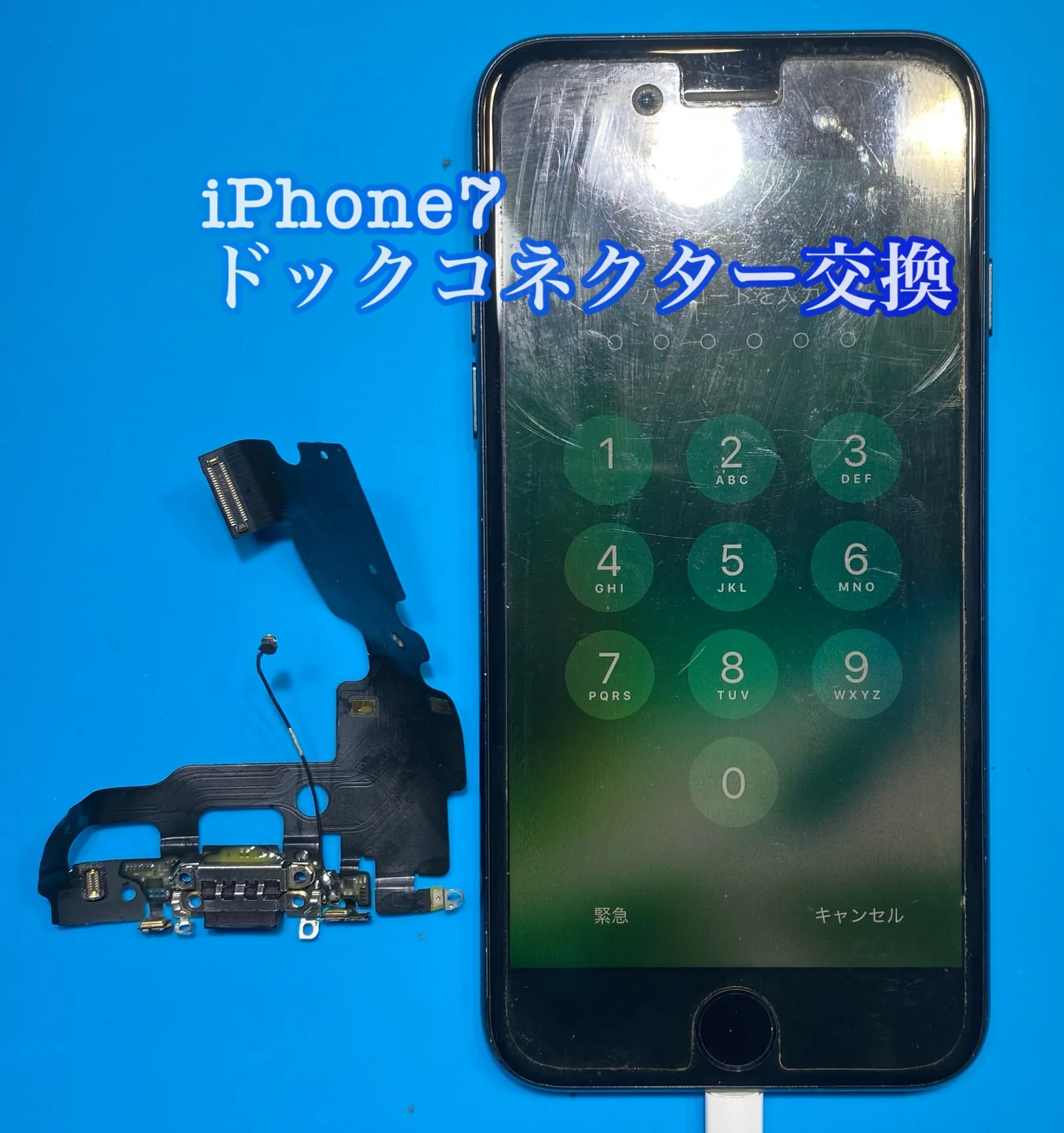 iPhone・iPad修理フォンドクターグループ　宮崎店、名古屋駅前店、愛知知立店、魚津店、敦賀店、大阪門真店、岐阜土岐店