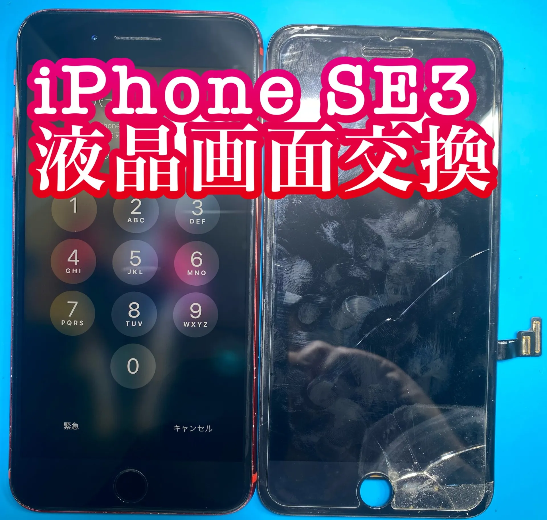 フォンドクターグループ　宮崎店、名古屋駅前店、愛知知立店、魚津店、敦賀店、大阪門真店、岐阜土岐店