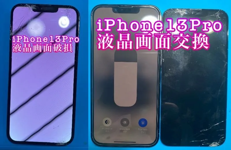 フォンドクターグループ　宮崎店、名古屋駅前店、愛知知立店、魚津店、敦賀店、大阪門真店、岐阜土岐店