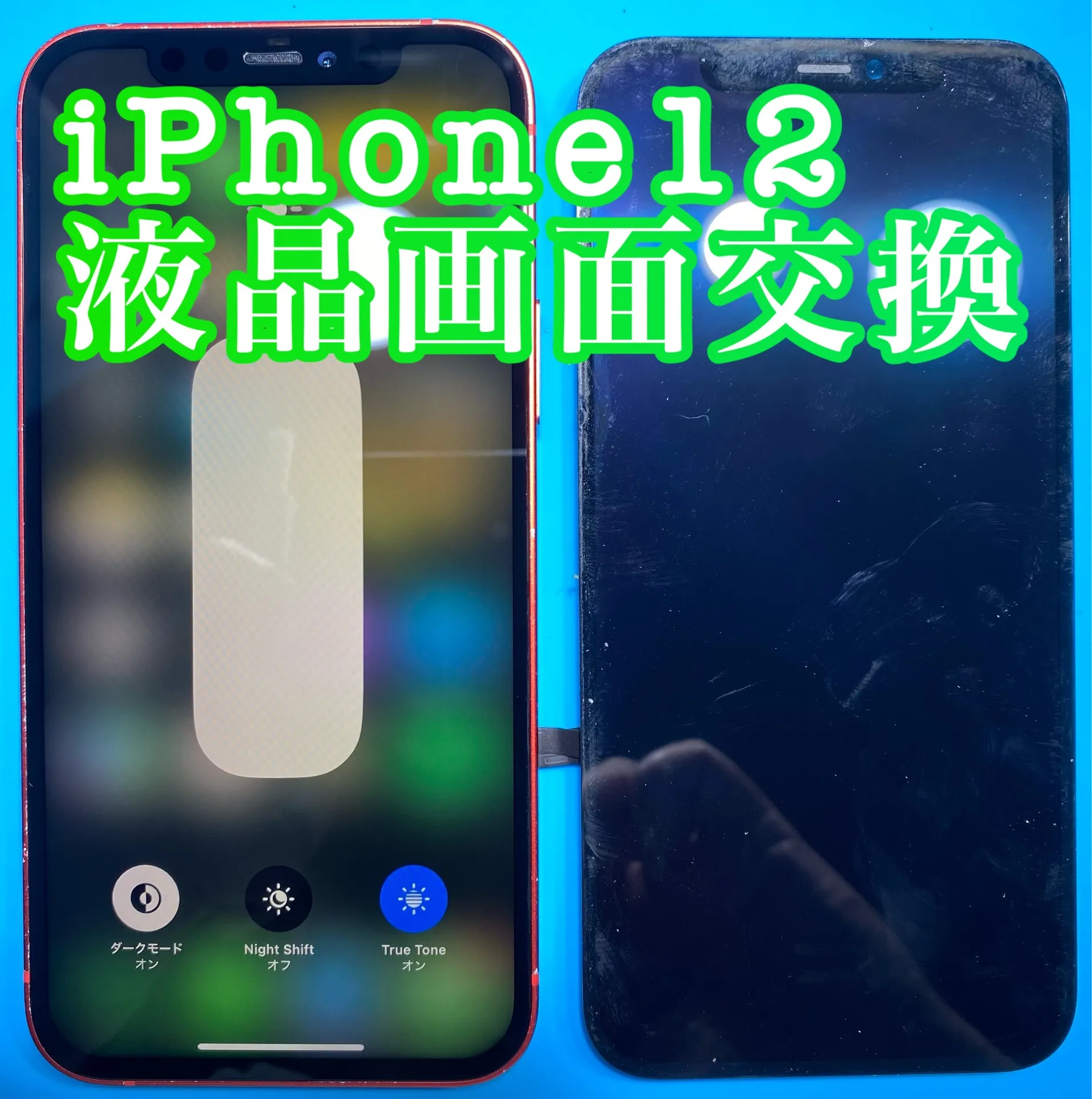 フォンドクターグループ　宮崎店、名古屋駅前店、愛知知立店、魚津店、敦賀店、大阪門真店、岐阜土岐店