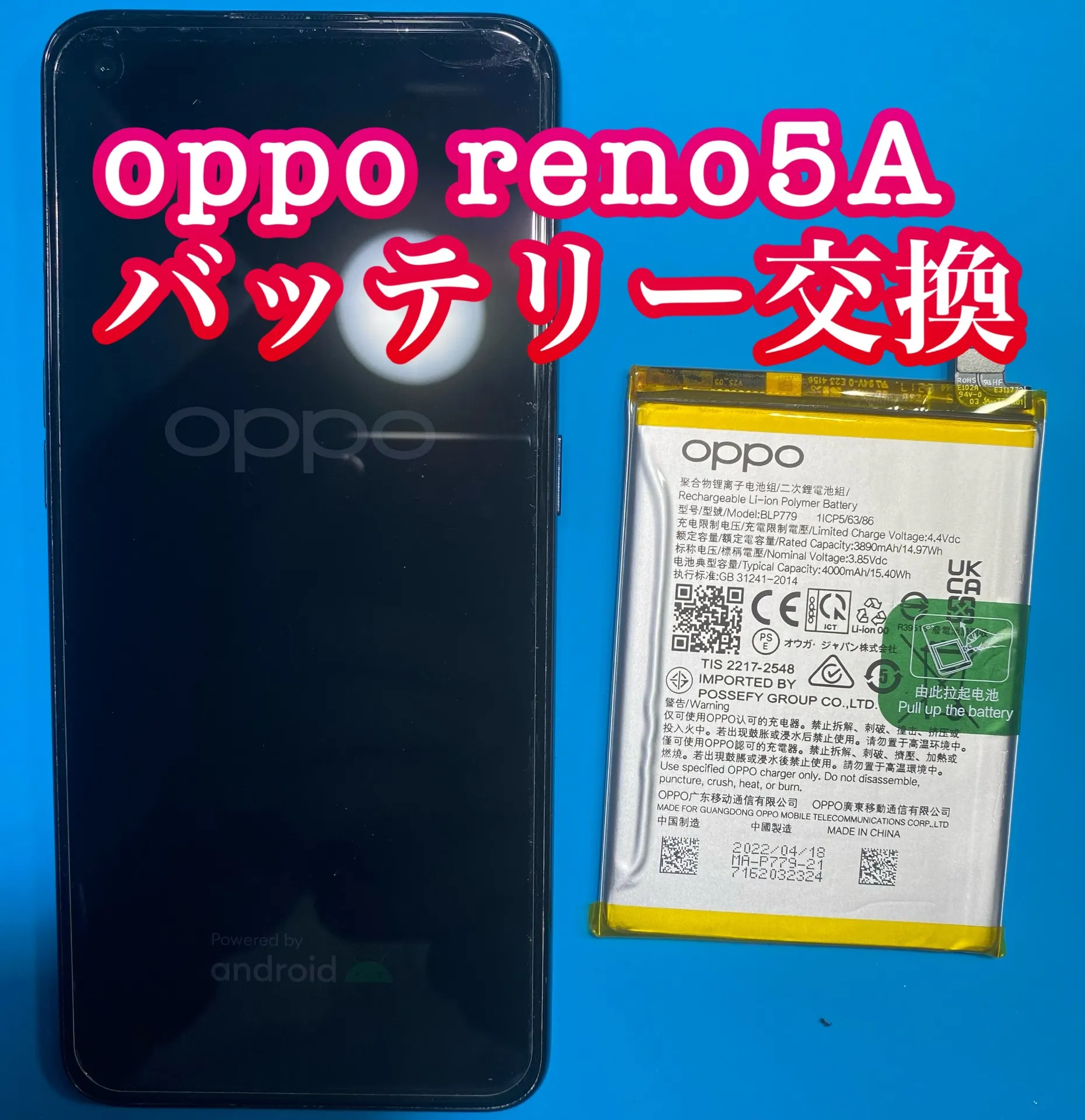 フォンドクターグループ　宮崎店、名古屋駅前店、愛知知立店、魚津店、敦賀店、大阪門真店、岐阜土岐店