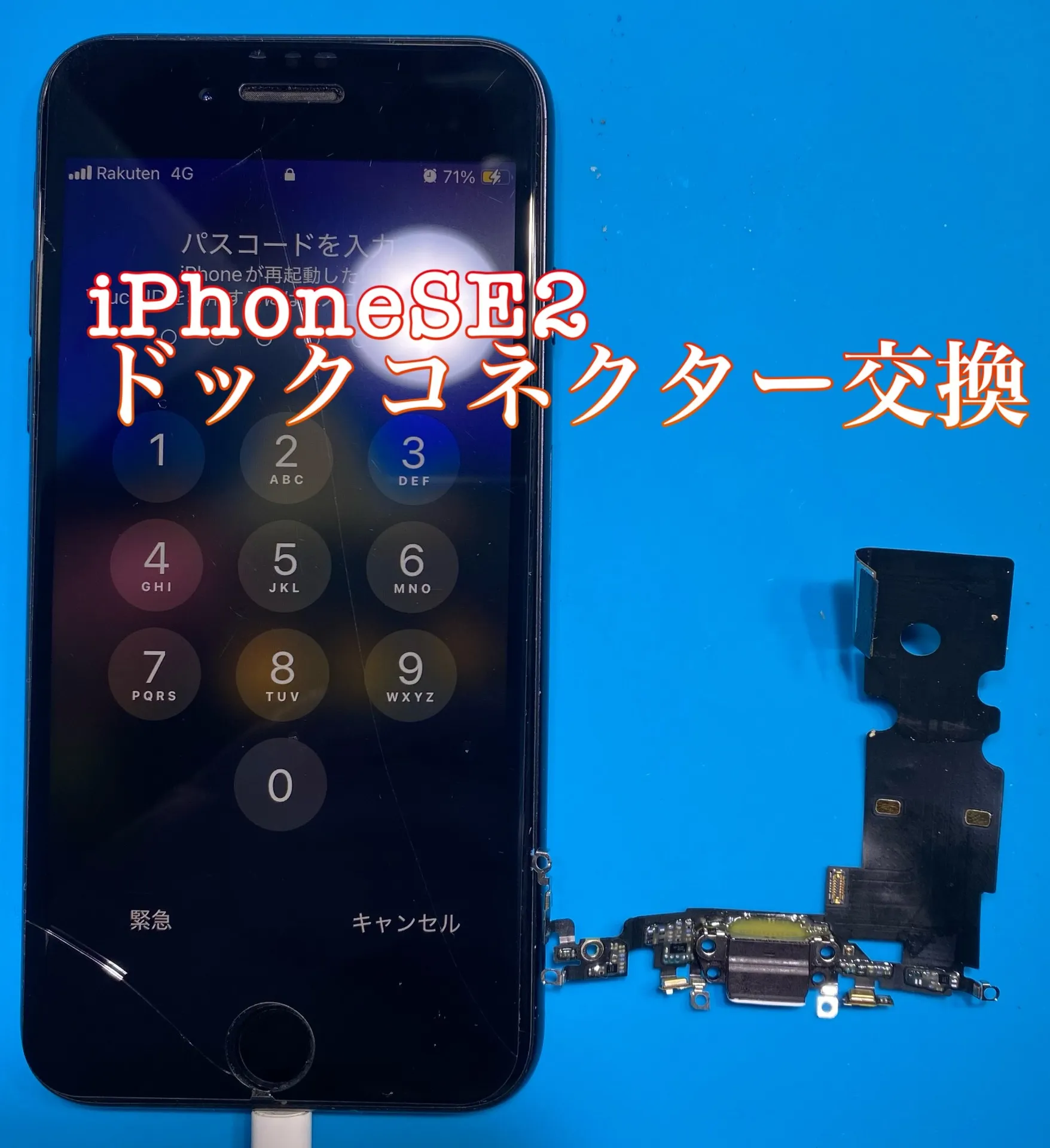 iPhone・iPad修理フォンドクターグループ　宮崎店、名古屋駅前店、愛知知立店、魚津店、敦賀店、大阪門真店、岐阜土岐店