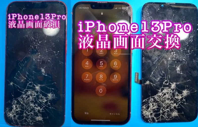 フォンドクターグループ　宮崎店、名古屋駅前店、愛知知立店、魚津店、敦賀店、大阪門真店、岐阜土岐店