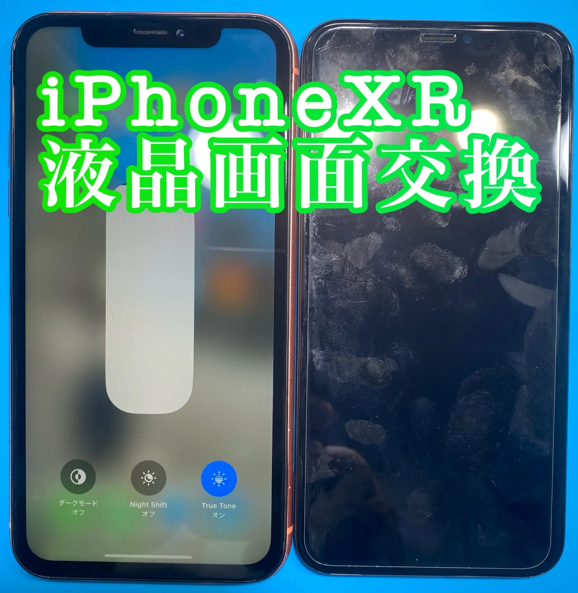 フォンドクターグループ　宮崎店、名古屋駅前店、愛知知立店、魚津店、敦賀店、大阪門真店、岐阜土岐店