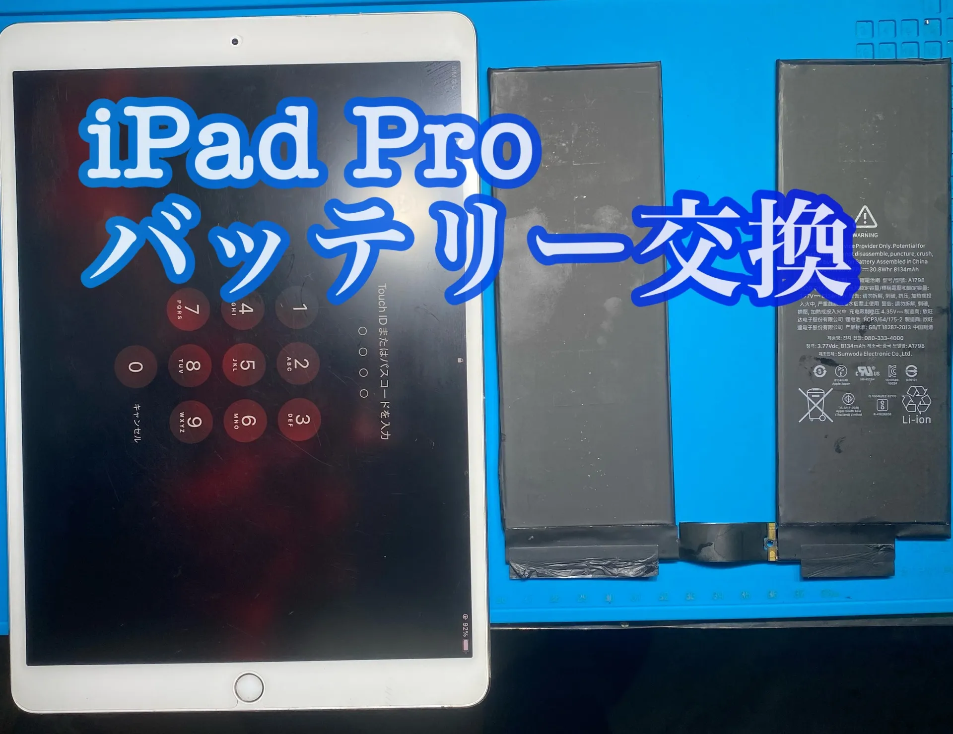 iPhone・iPad修理フォンドクターグループ　宮崎店、名古屋駅前店、愛知知立店、魚津店、敦賀店、大阪門真店、岐阜土岐店
