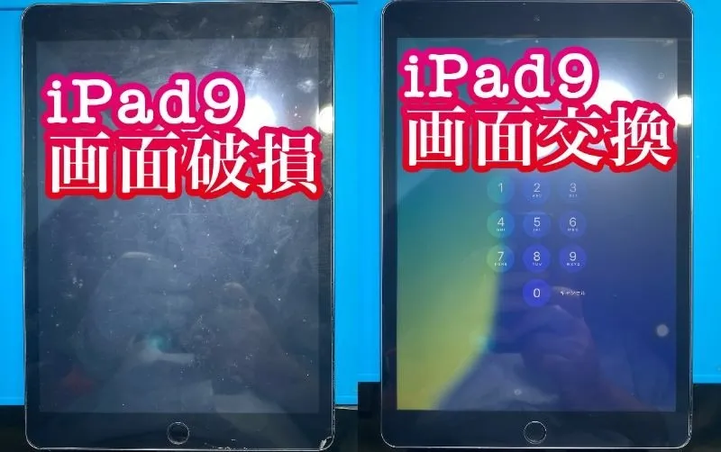 フォンドクターグループ　宮崎店、名古屋駅前店、愛知知立店、魚津店、敦賀店、大阪門真店、岐阜土岐店