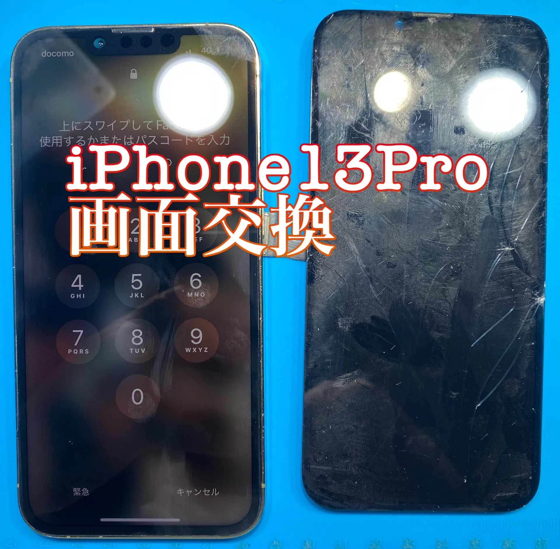 フォンドクターグループ　宮崎店、名古屋駅前店、愛知知立店、魚津店、敦賀店、大阪門真店、岐阜土岐店