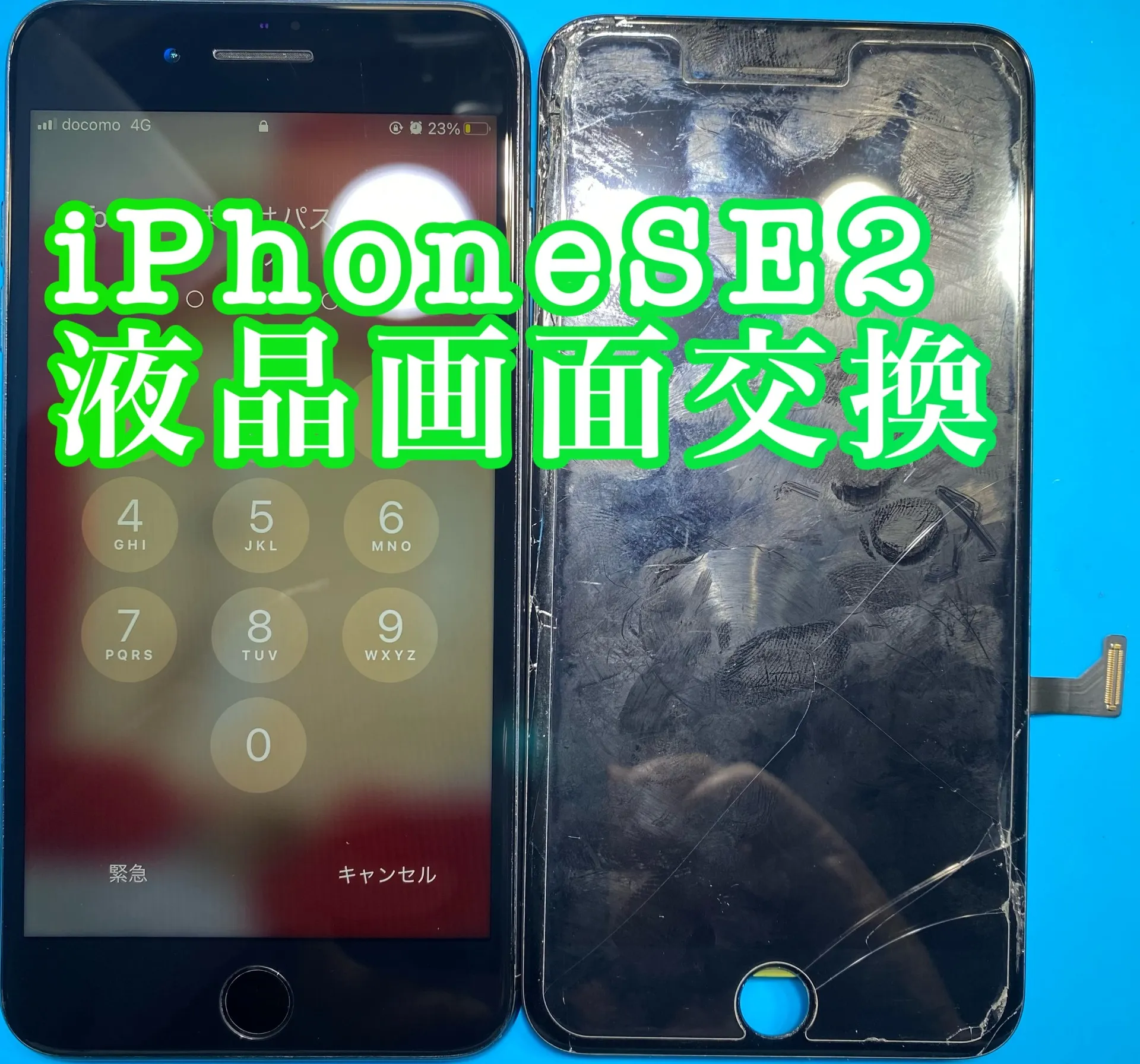 フォンドクターグループ　宮崎店、名古屋駅前店、愛知知立店、魚津店、敦賀店、大阪門真店、岐阜土岐店