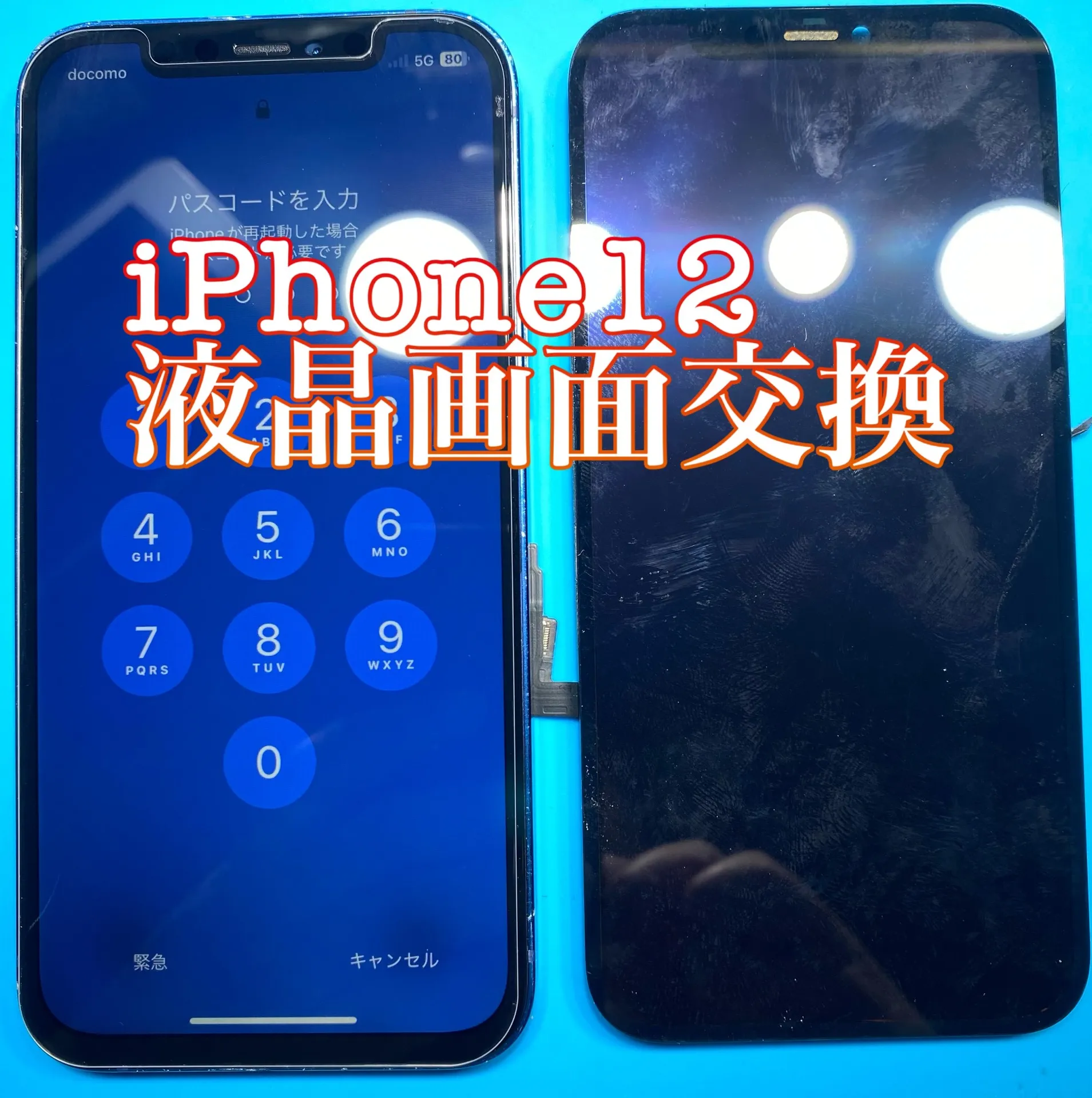 iPhone・iPad修理フォンドクターグループ　宮崎店、名古屋駅前店、愛知知立店、魚津店、敦賀店、大阪門真店、岐阜土岐店