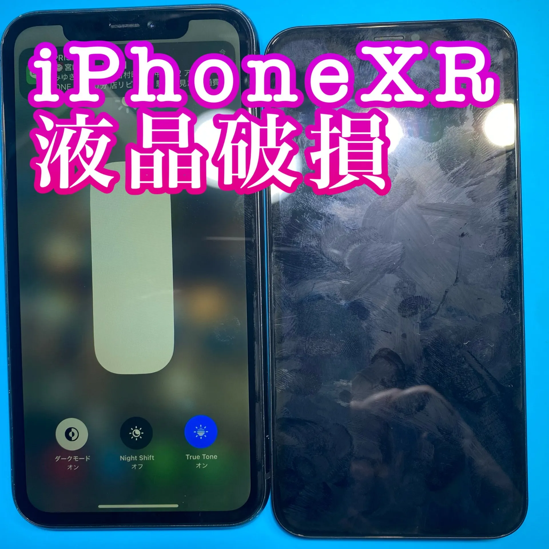 フォンドクターグループ　宮崎店、名古屋駅前店、愛知知立店、魚津店、敦賀店、大阪門真店、岐阜土岐店